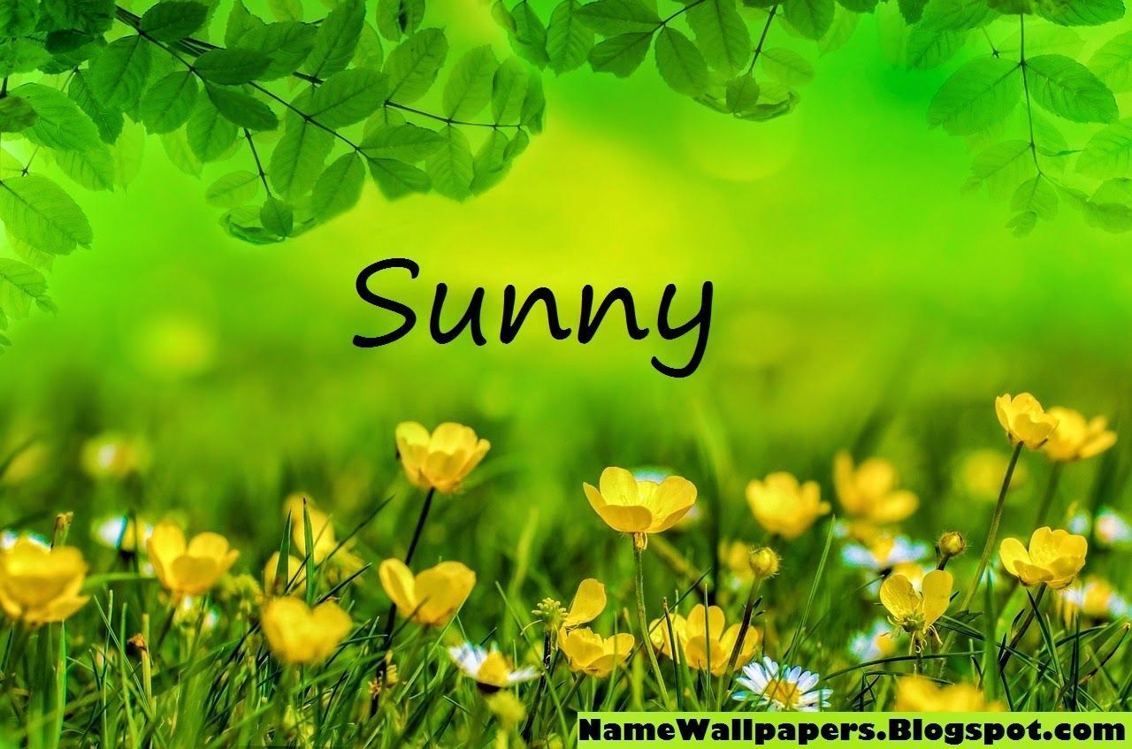 Fiori gialli con testo Sunny, 1280x847 HD, Desktop