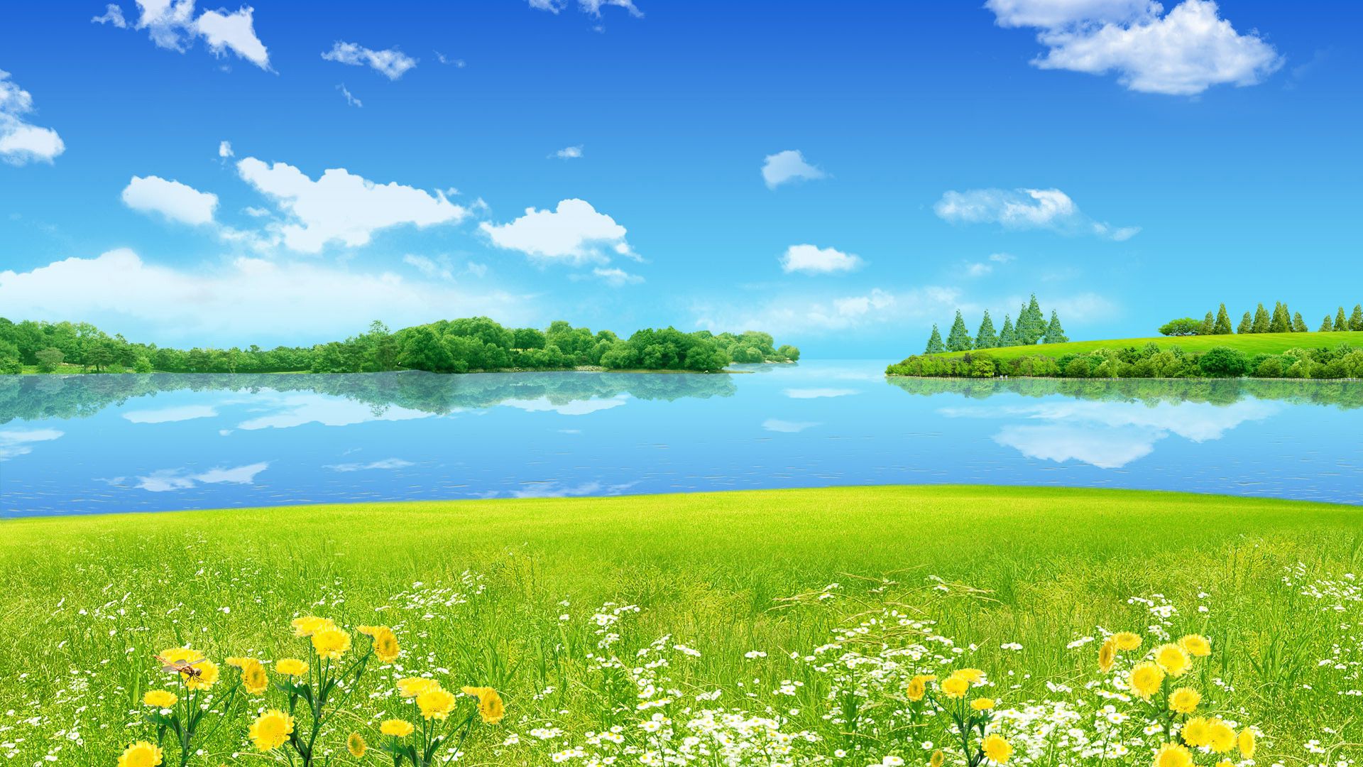 Paesaggio soleggiato lago fiori, 1920x1080 Full HD, Desktop