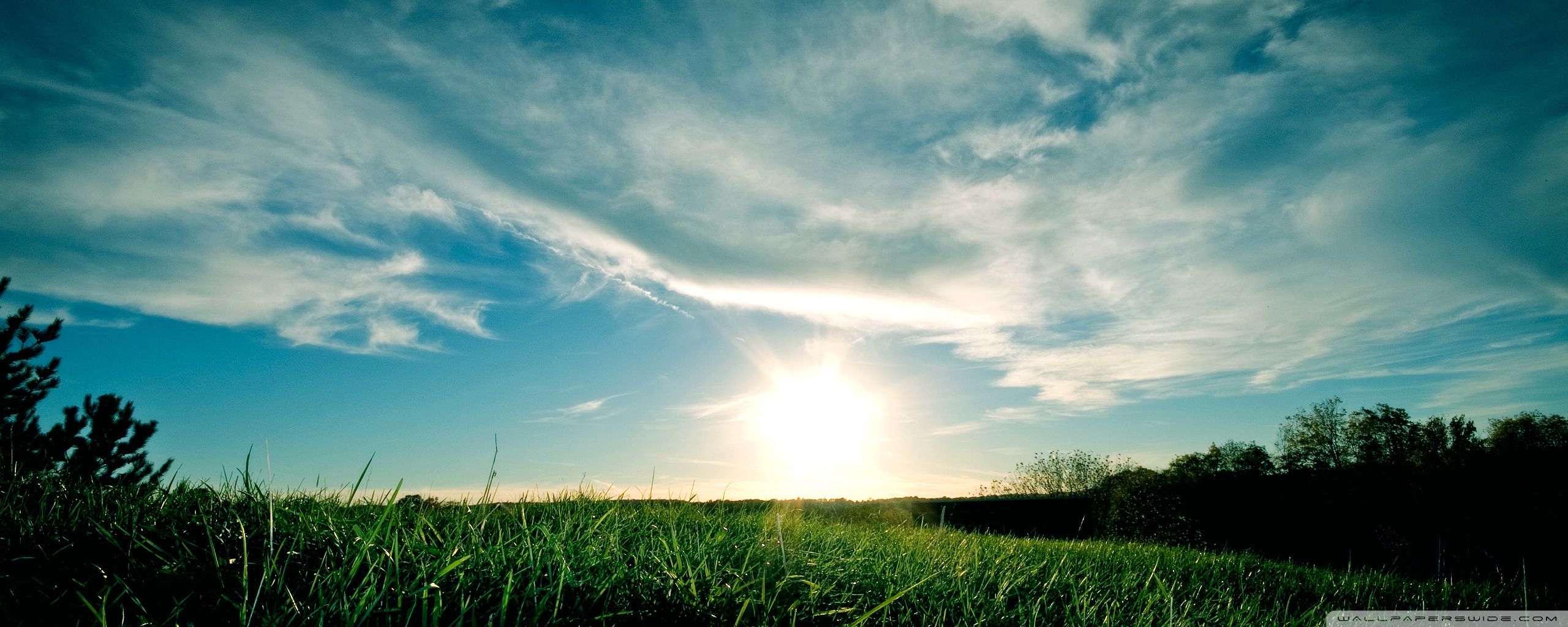 Campo verde con sole, 2560x1024 21:9, Ultrawide