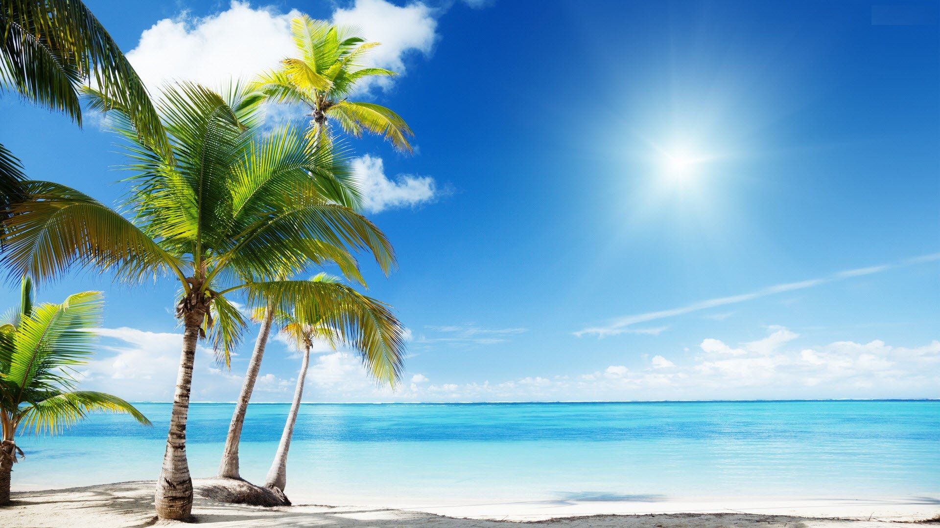 Spiaggia tropicale con palme e sole, 1920x1080 Full HD 1080p, Desktop
