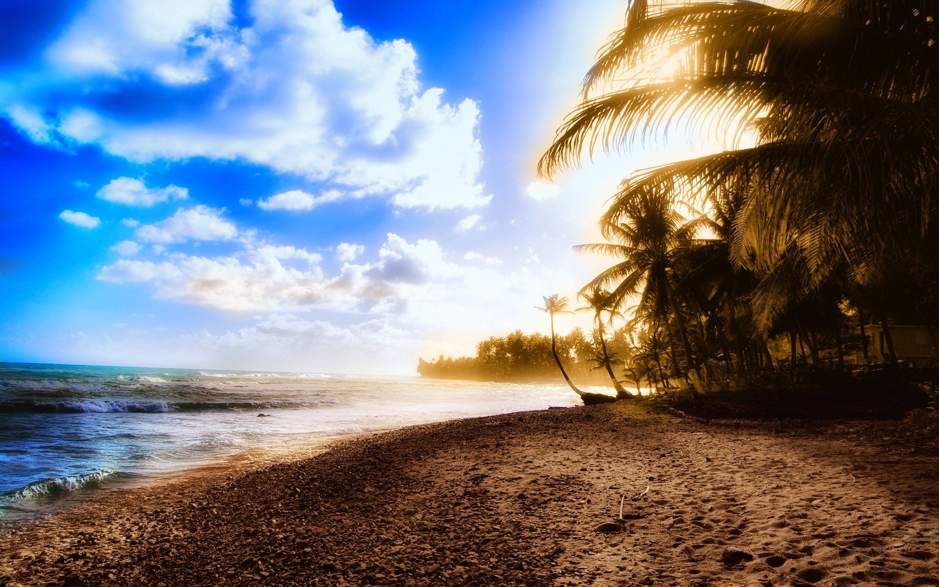 Spiaggia con palme al tramonto, 1920x1200 WUXGA, PC