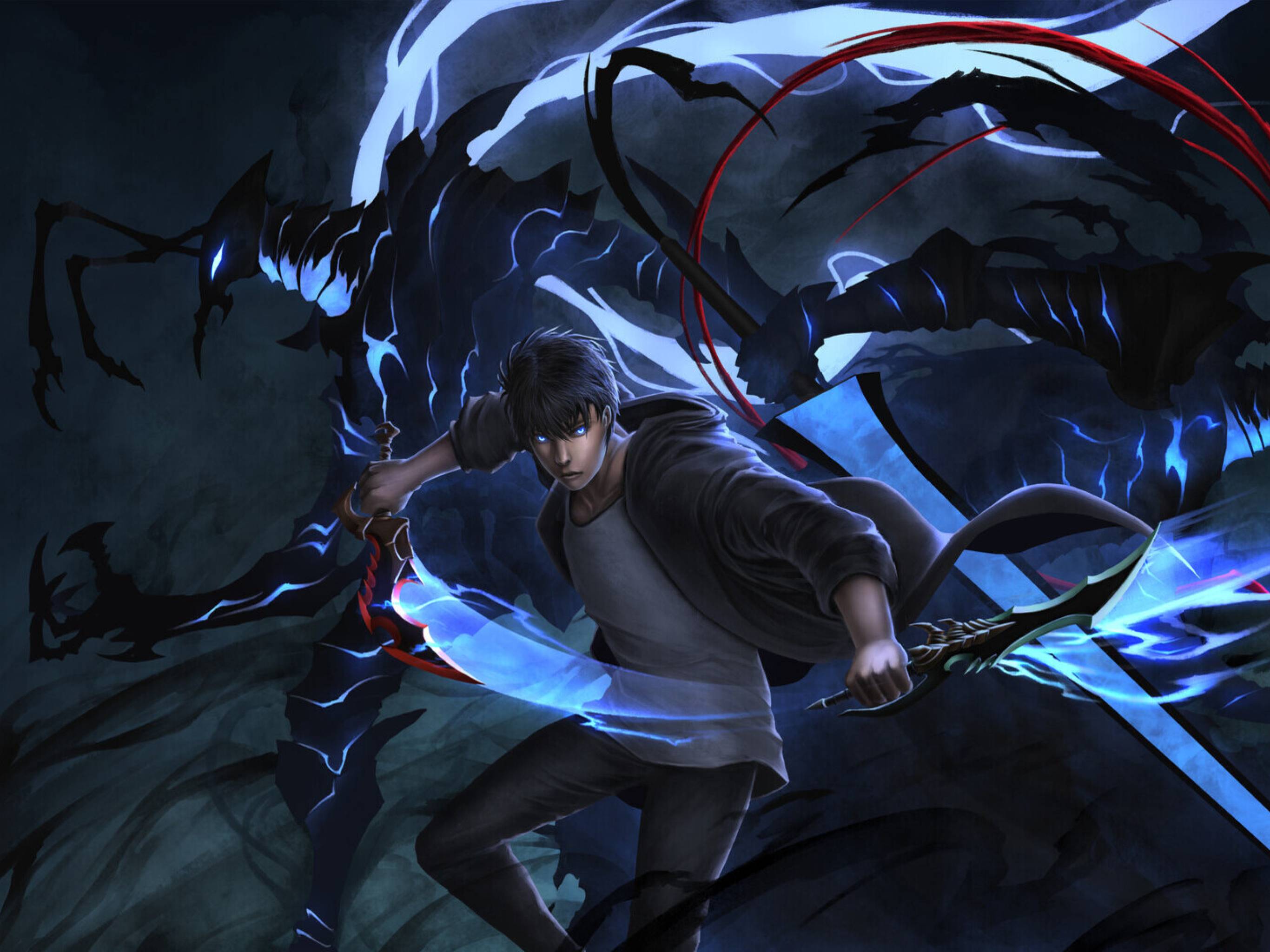Sung Jin-Woo Solo Leveling ombre, 2732x2048 2K, Monitor Gaming