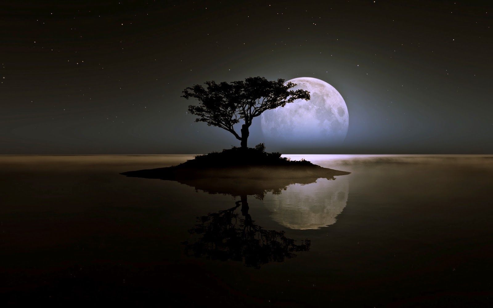 Albero solitario, luna piena, riflesso, 1600x1000 900p, PC