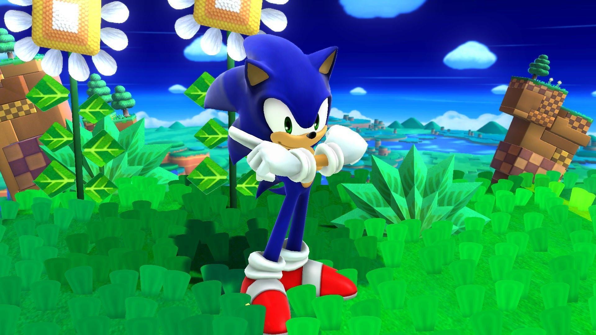 Sonic in Super Smash Bros, 1920x1080 Full HD 1080p, Desktop