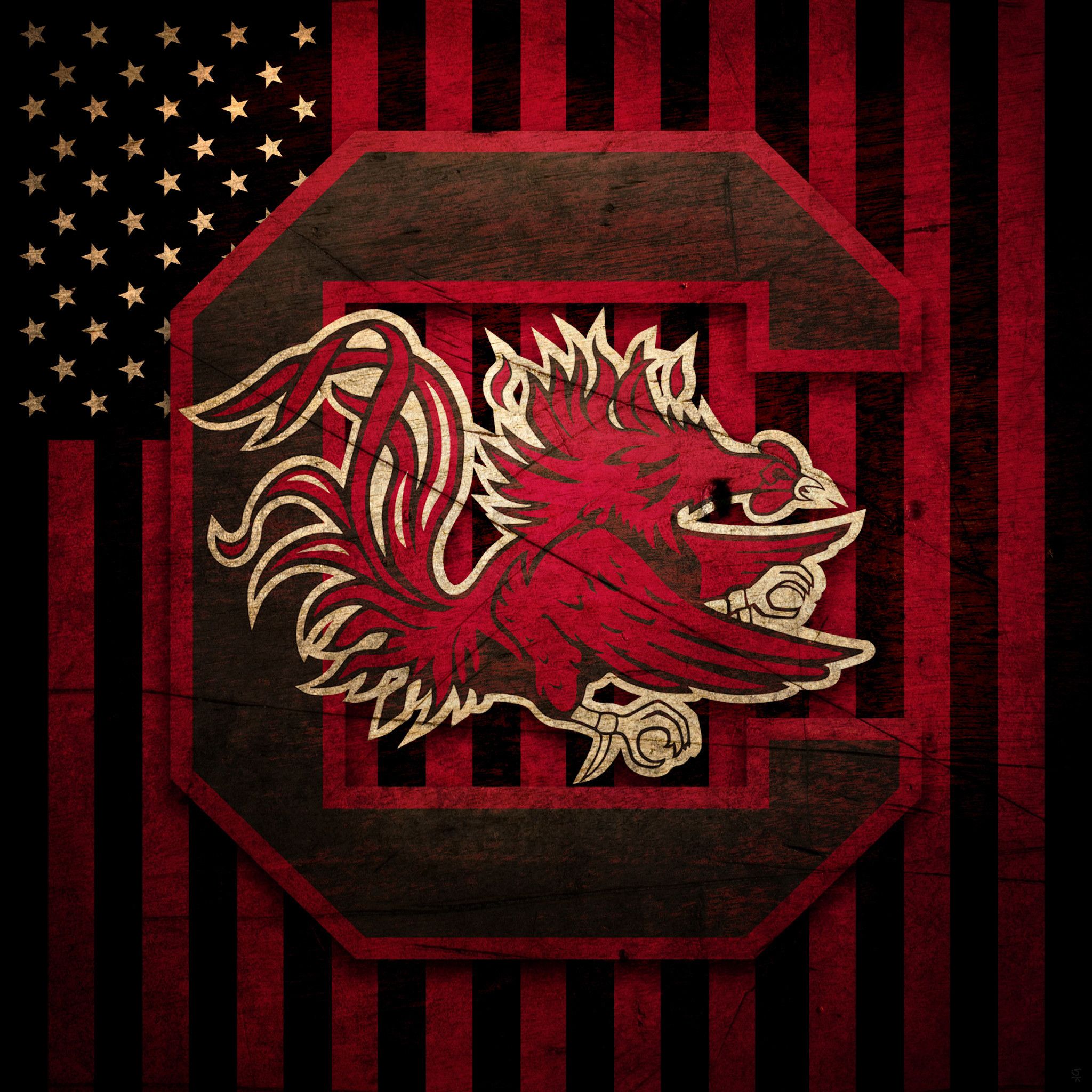 Logo Gamecocks South Carolina bandiera, 2048x2048 2K, Desktop