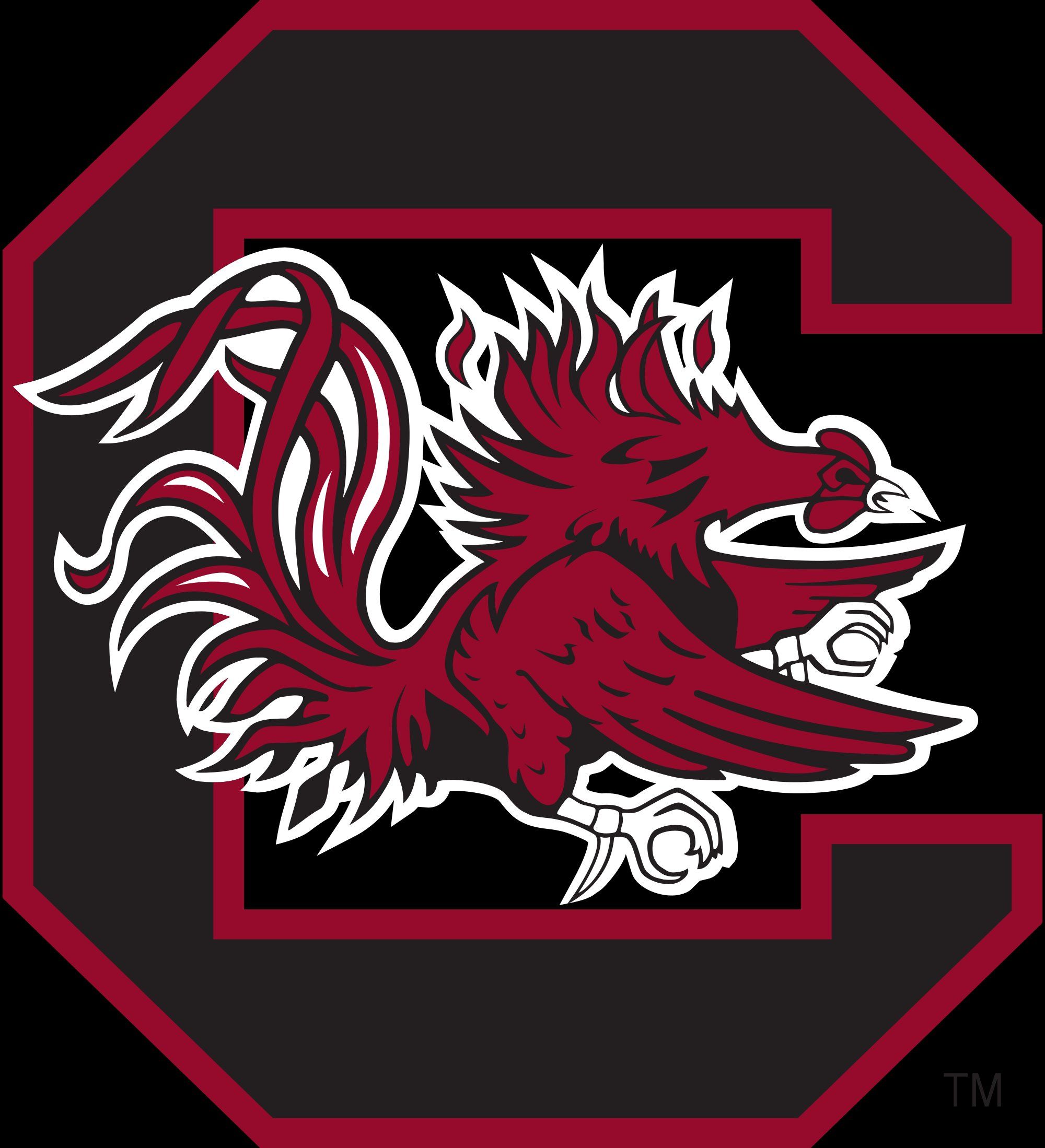 Logo South Carolina Gamecocks, NCAA, 2000x2198 Full HD Verticale, Google Pixel