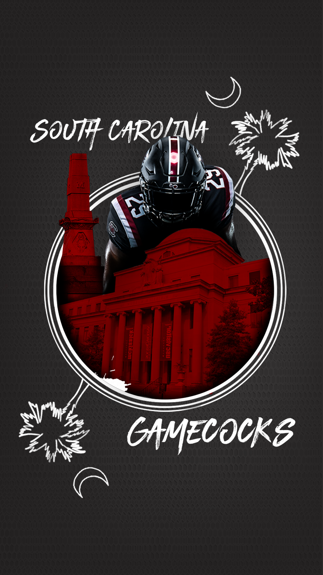 South Carolina Gamecocks logo, 1080x1920 Full HD Verticale, Oppo