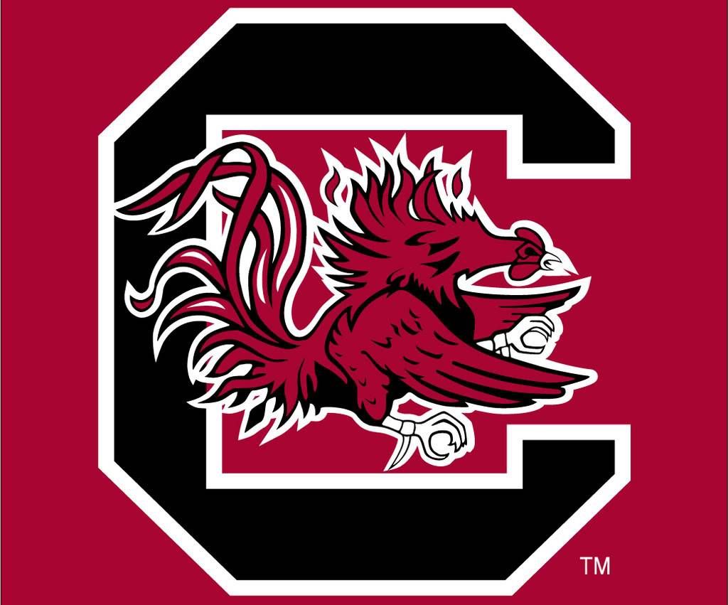 Logo South Carolina Gamecocks, college sports, 1024x851 HD, PC