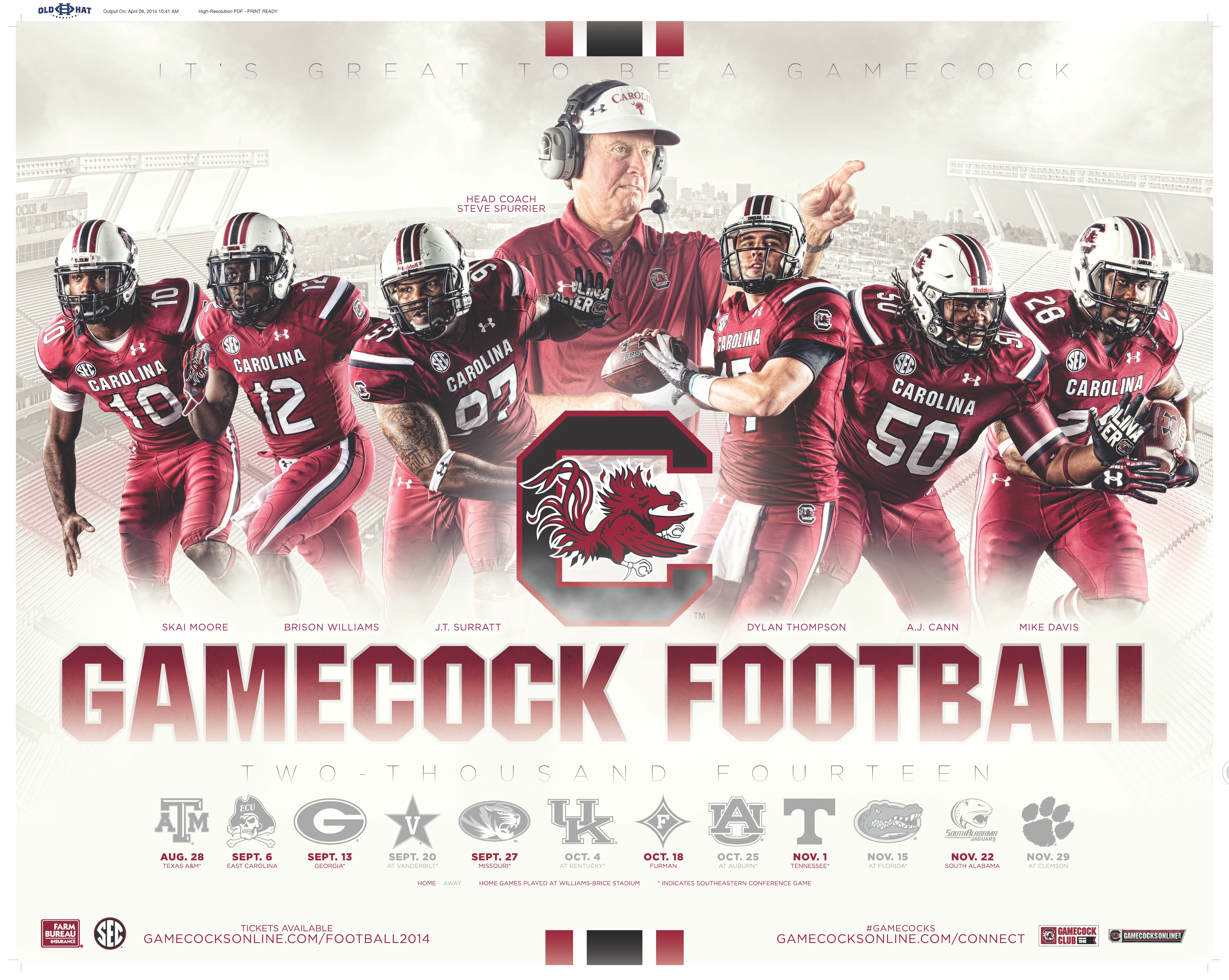 South Carolina Gamecocks football, 2532x1994 2K, Desktop