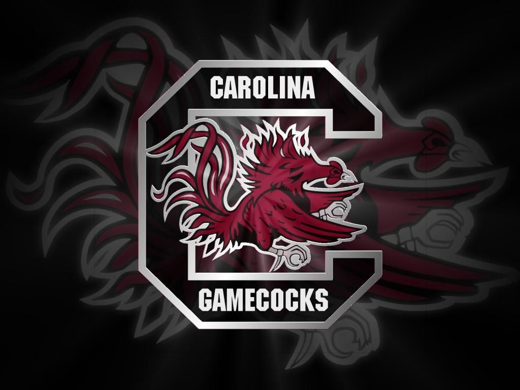 Logo South Carolina Gamecocks, college sports, 1024x768 HD, Laptop