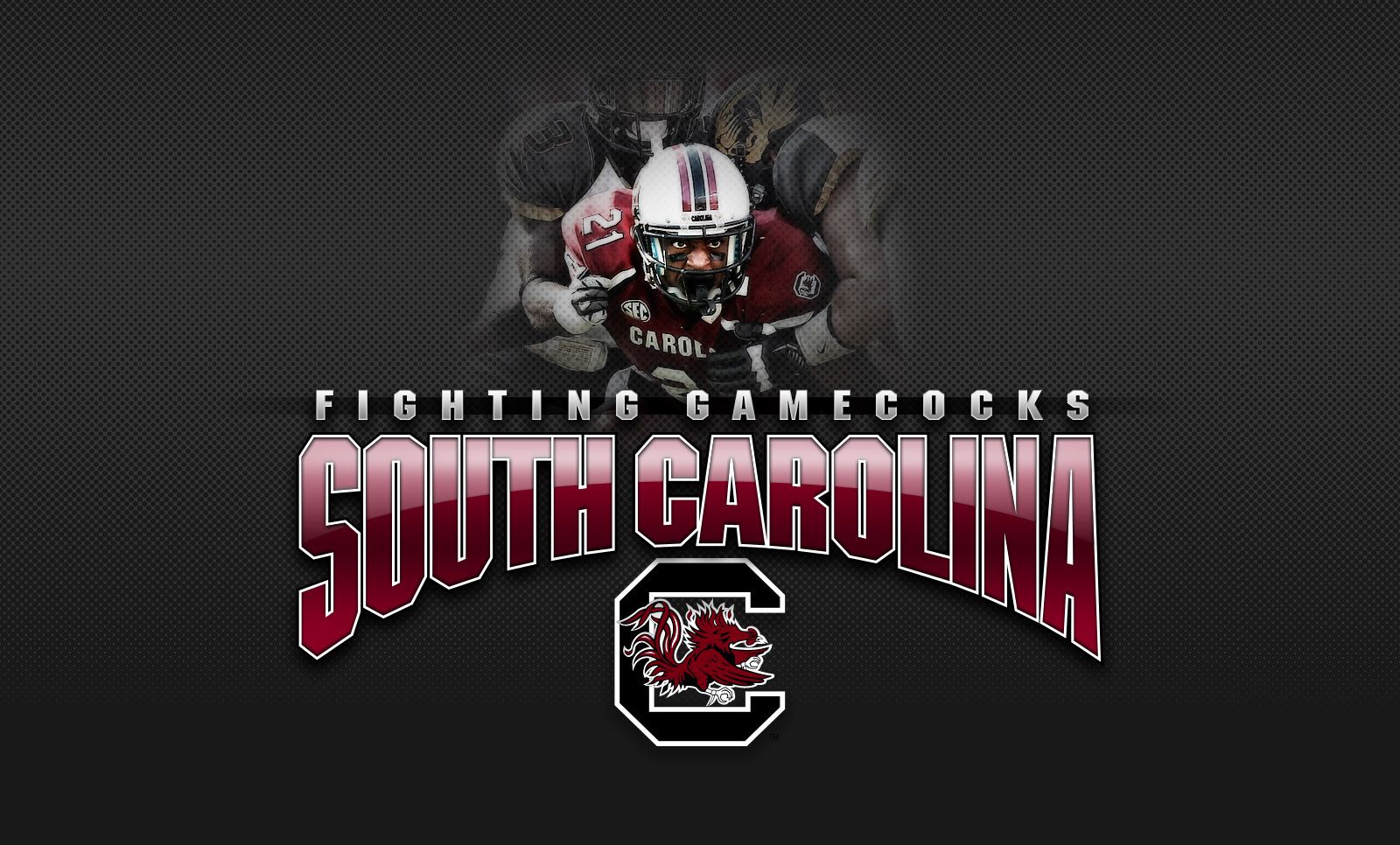 Logo South Carolina Gamecocks football, 1600x966 HD Ready, Notebook Gaming