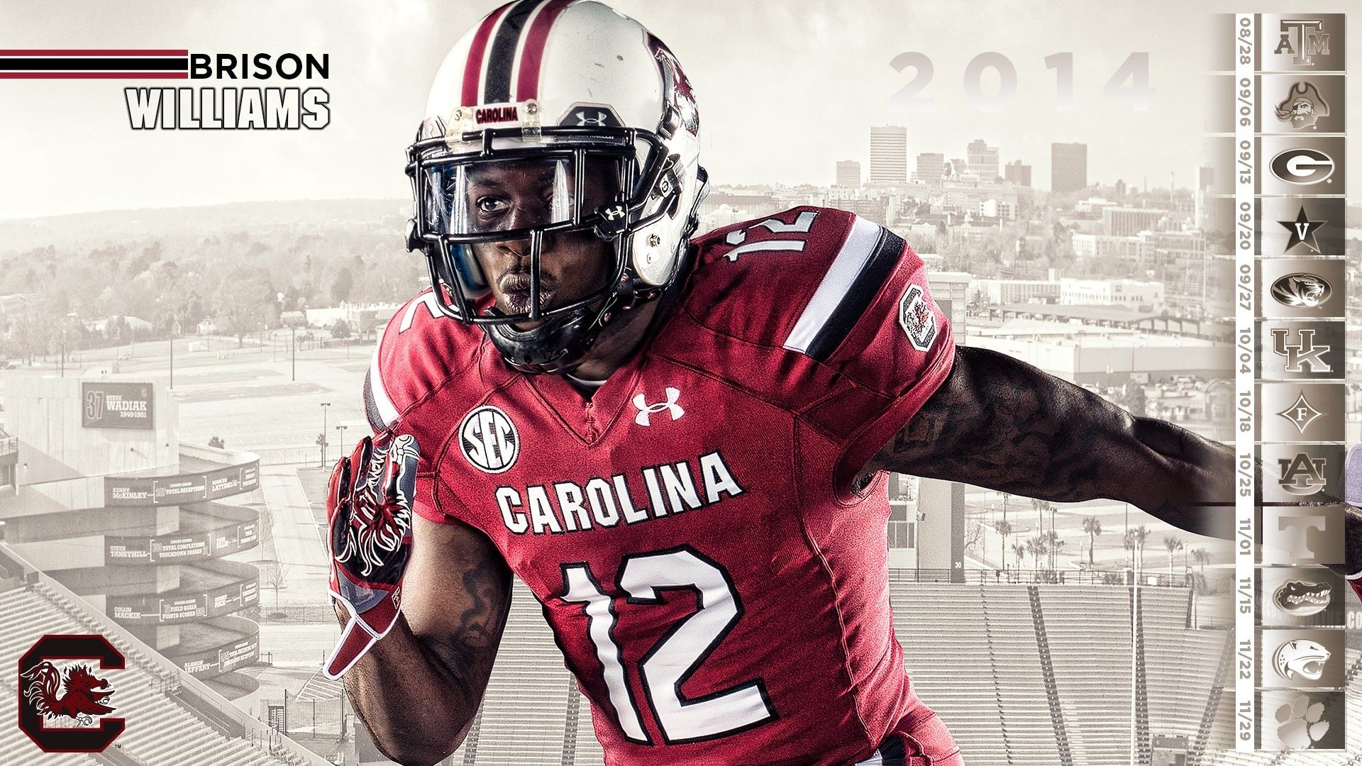 Logo South Carolina Gamecocks, 1920x1440 Full HD+ WUXGA, Desktop
