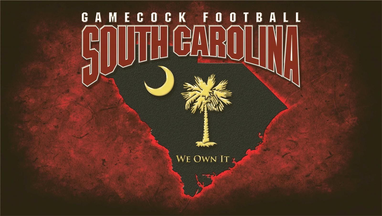 Logo South Carolina Gamecocks football, 1600x905 HD, Laptop