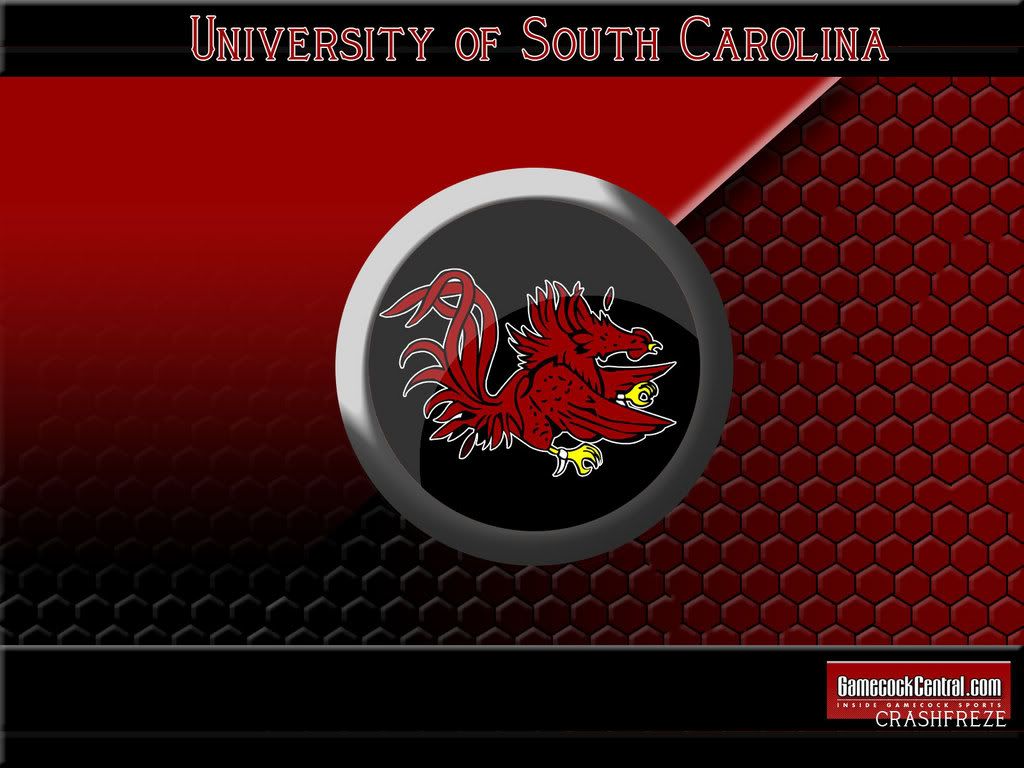 Logo South Carolina Gamecocks, 1024x768 HD, Desktop
