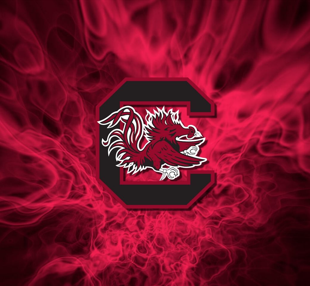 Logo South Carolina Gamecocks fiamme, NCAA, 1040x960 HD, Desktop