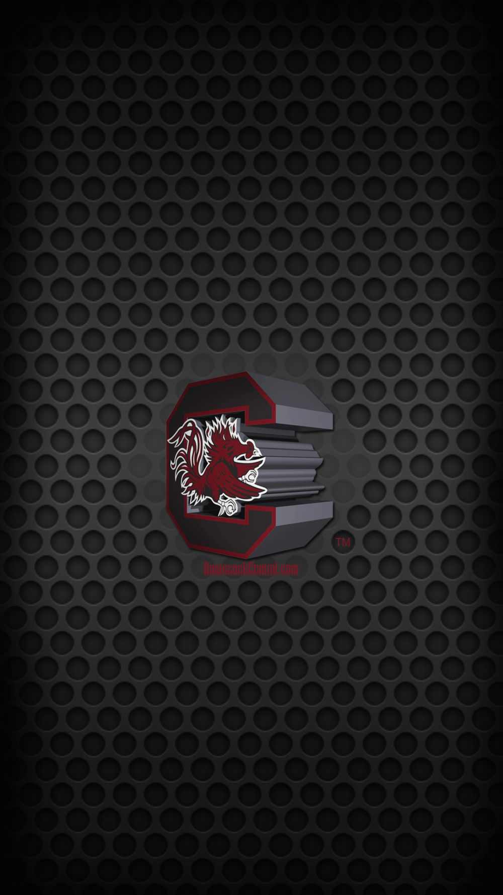 Logo South Carolina Gamecocks, 1000x1778 Verticale, Realme