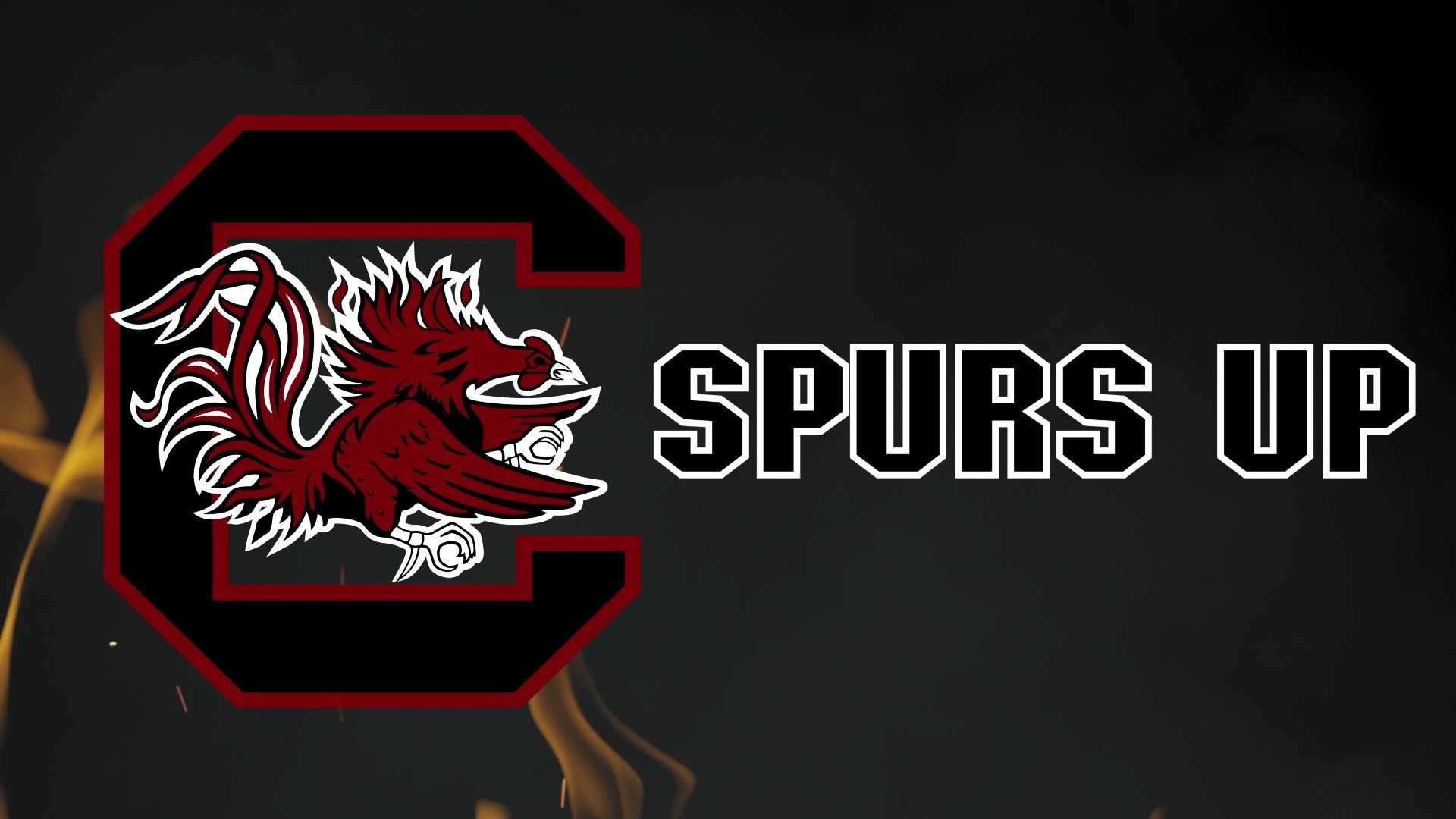 Logo South Carolina Gamecocks fiamme, 1920x1080 1080p, PC Desktop