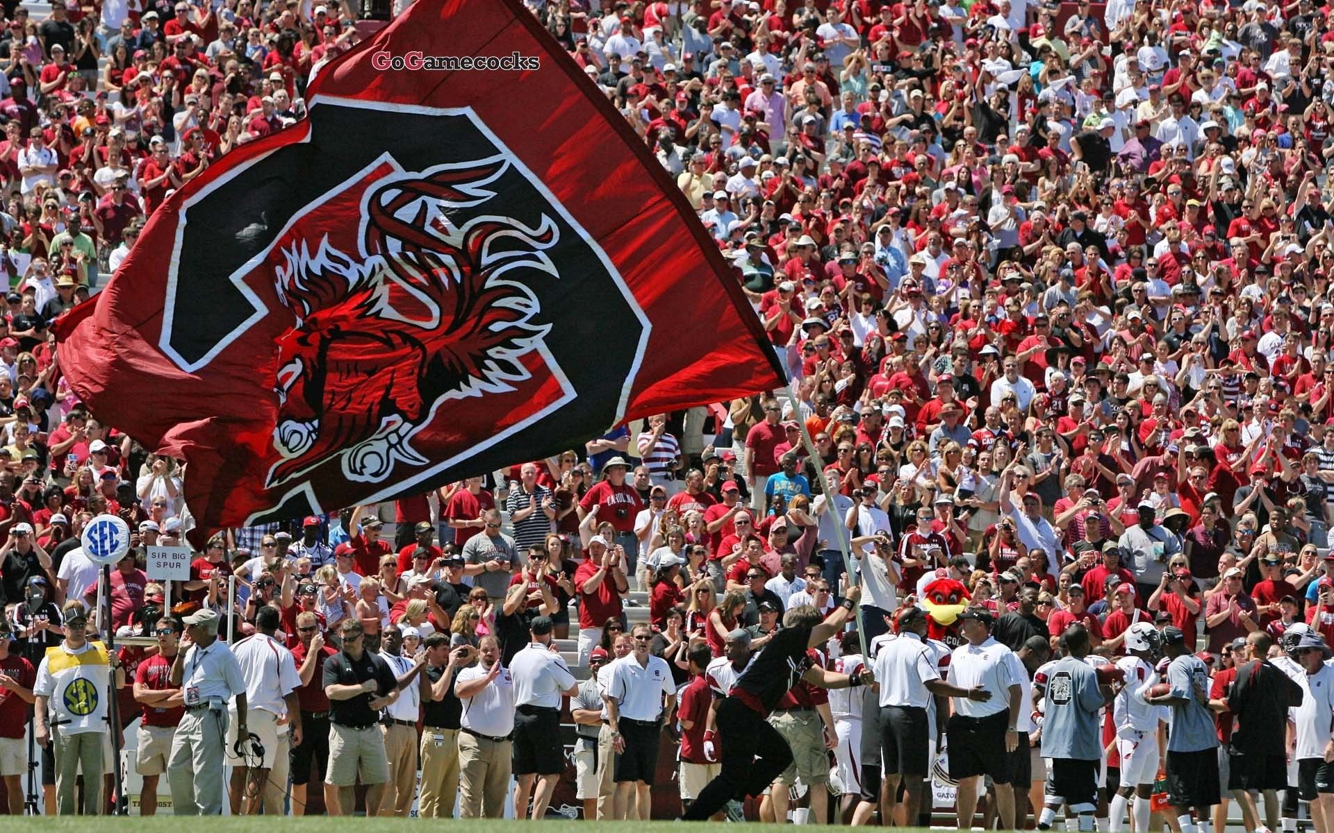 Bandiera South Carolina Gamecocks stadio, 1920x1200 Full HD+, PC