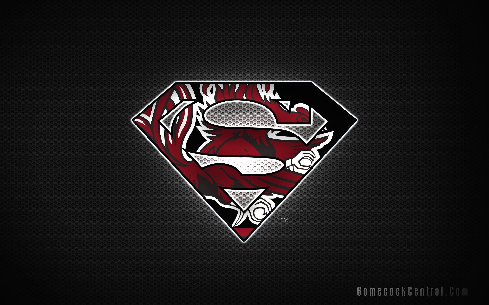 Football americano cattura nell'endzone, 1920x1200 WUXGA, Desktop