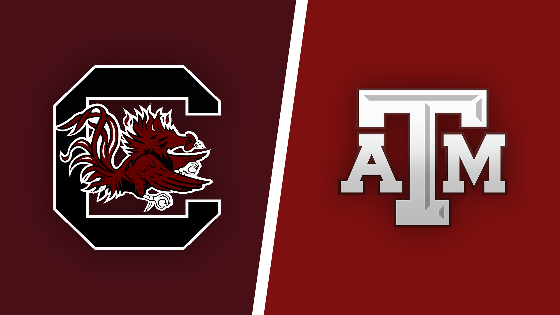 Loghi South Carolina e Texas A&M, 1920x1080 1080p, Desktop