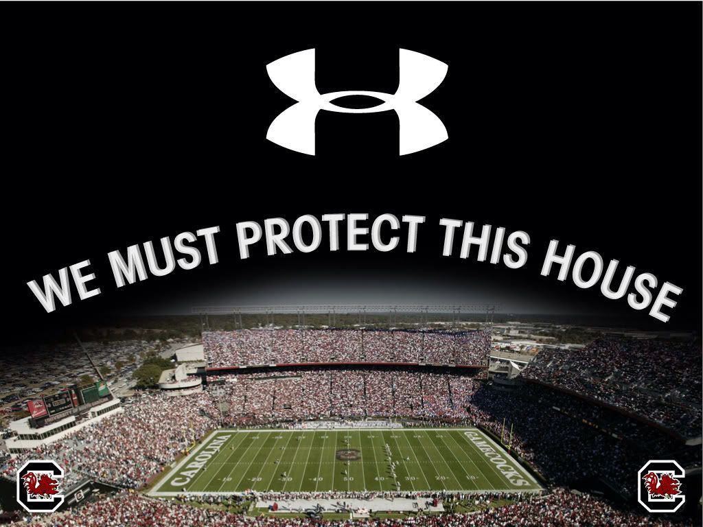 Stadio football Under Armour Gamecocks, abbigliamento sportivo, 1024x768 HD, Laptop