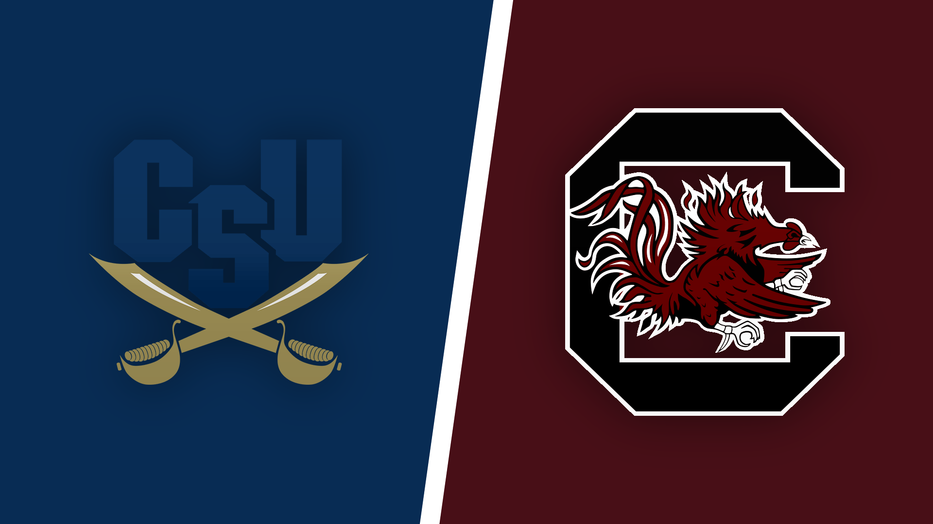 Loghi CSU e South Carolina Gamecocks, 1920x1080 Full HD, PC Desktop
