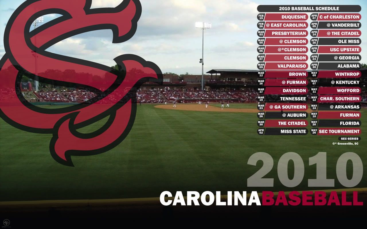 Allenatore baseball South Carolina Gamecocks, 1920x1080 Full HD, PC Desktop
