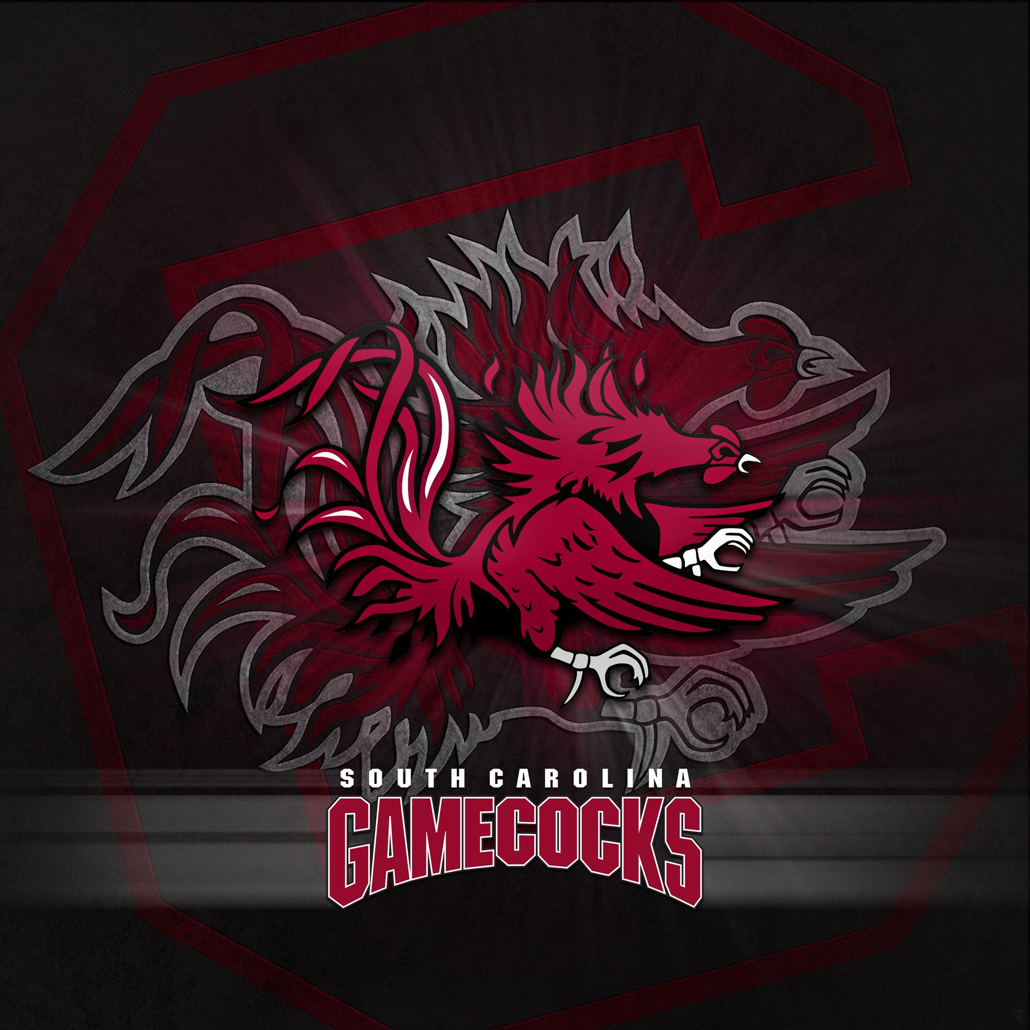 Logo South Carolina Gamecocks, college sports, 2048x2048 2K, PC