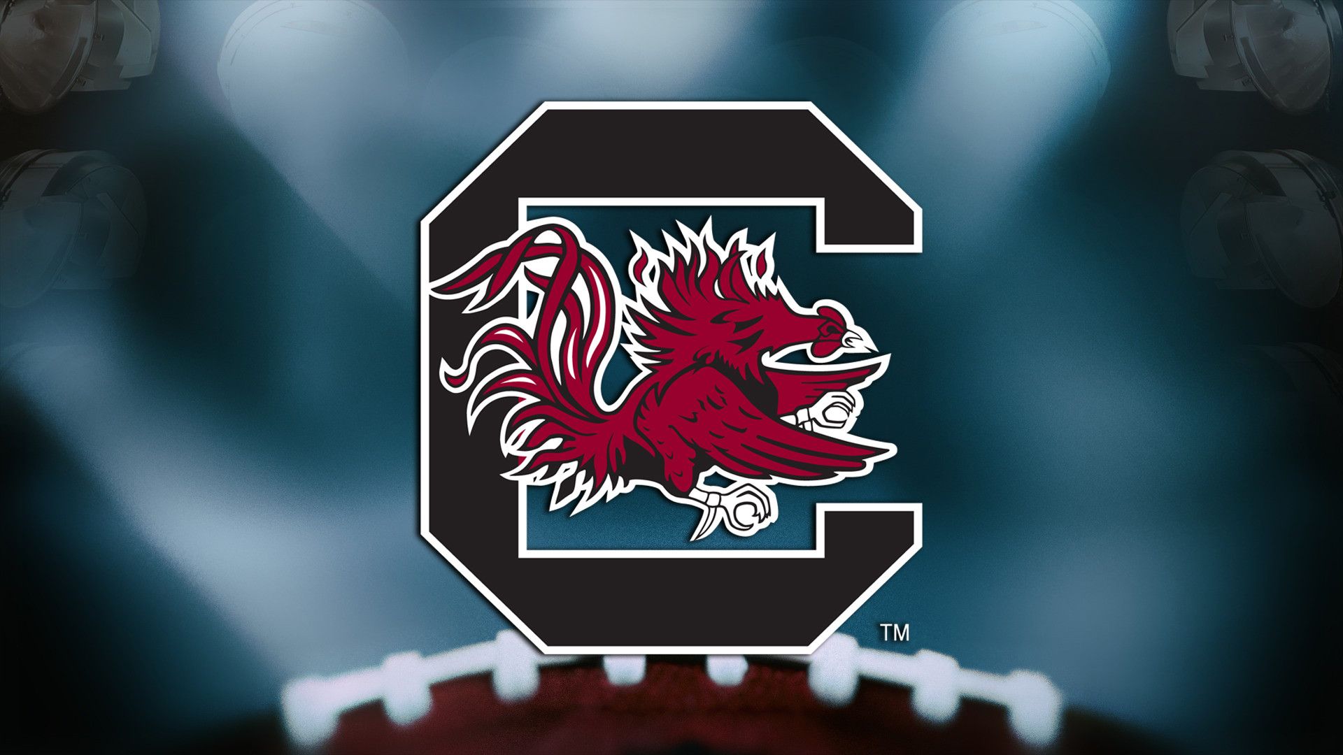 Logo South Carolina Gamecocks, 1920x1080 1080p, PC