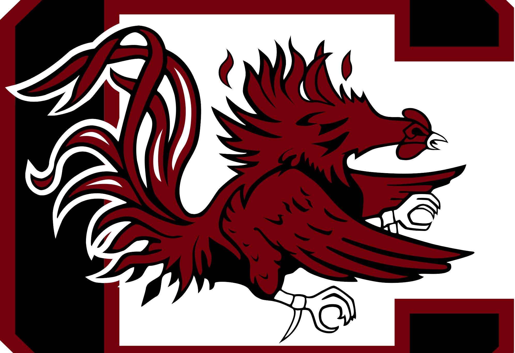 Logo South Carolina Gamecocks, 1994x1368 Full HD+, iMac