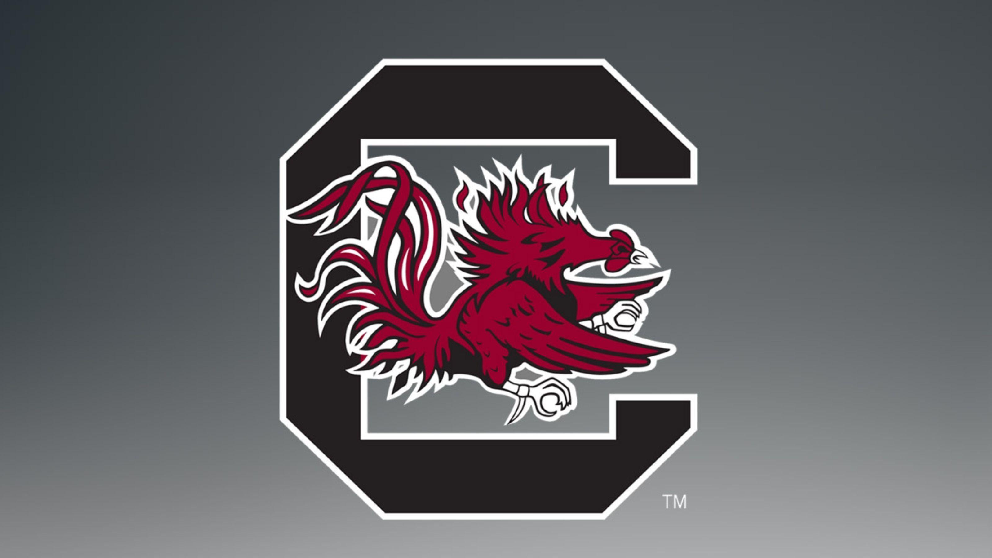 Logo South Carolina Gamecocks, NCAA, 3200x1800 2K+, Desktop