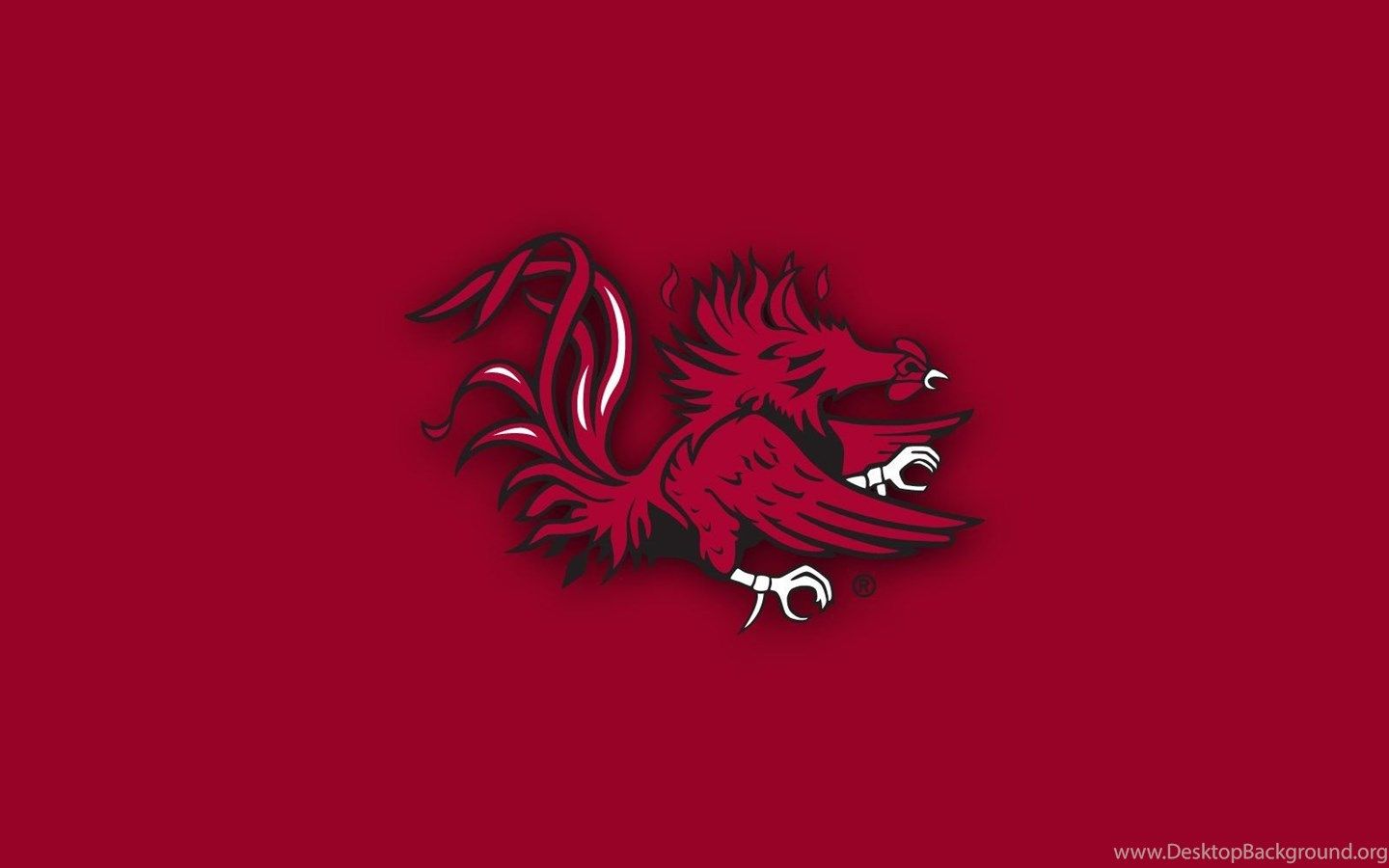 Logo gallo Gamecocks bordeaux, 1440x900 720p, Laptop