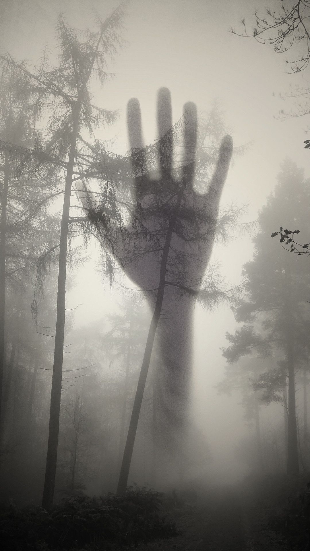 Mano gigante nella nebbia, 1080x1920 Full HD Verticale, Samsung Galaxy