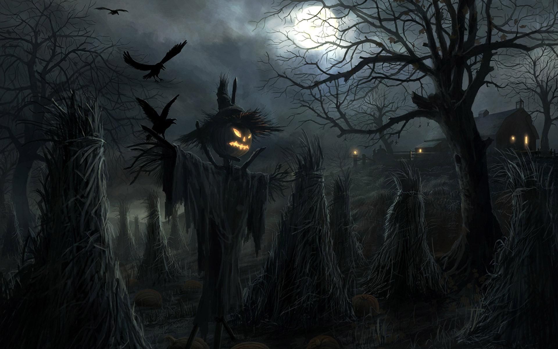 Spaventapasseri notte di Halloween, 1920x1200 WUXGA, PC Desktop
