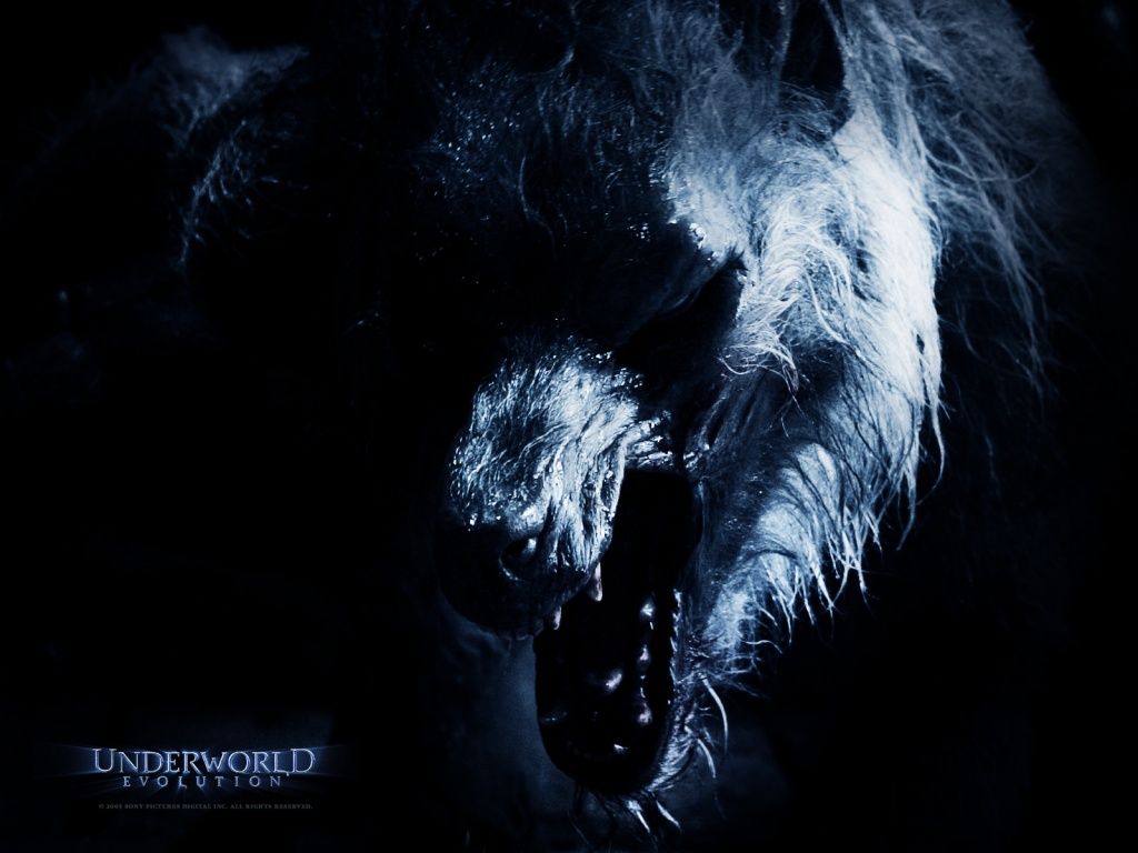 Lupo mannaro Underworld Evolution, 1024x768 HD, iMac
