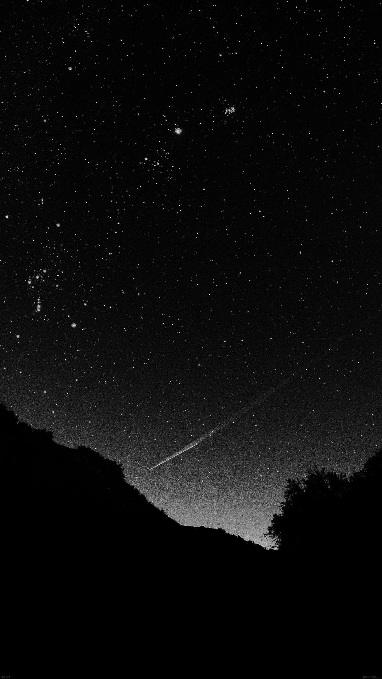 Stelle e stella cadente notte, 1242x2208 Verticale, Mobile