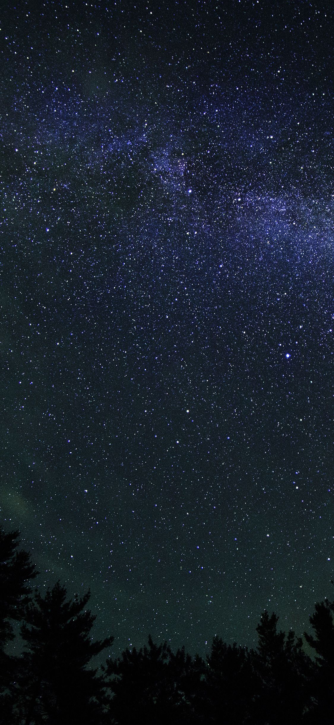 Via Lattea stelle notte, 1125x2436 Verticale, iPhone Plus