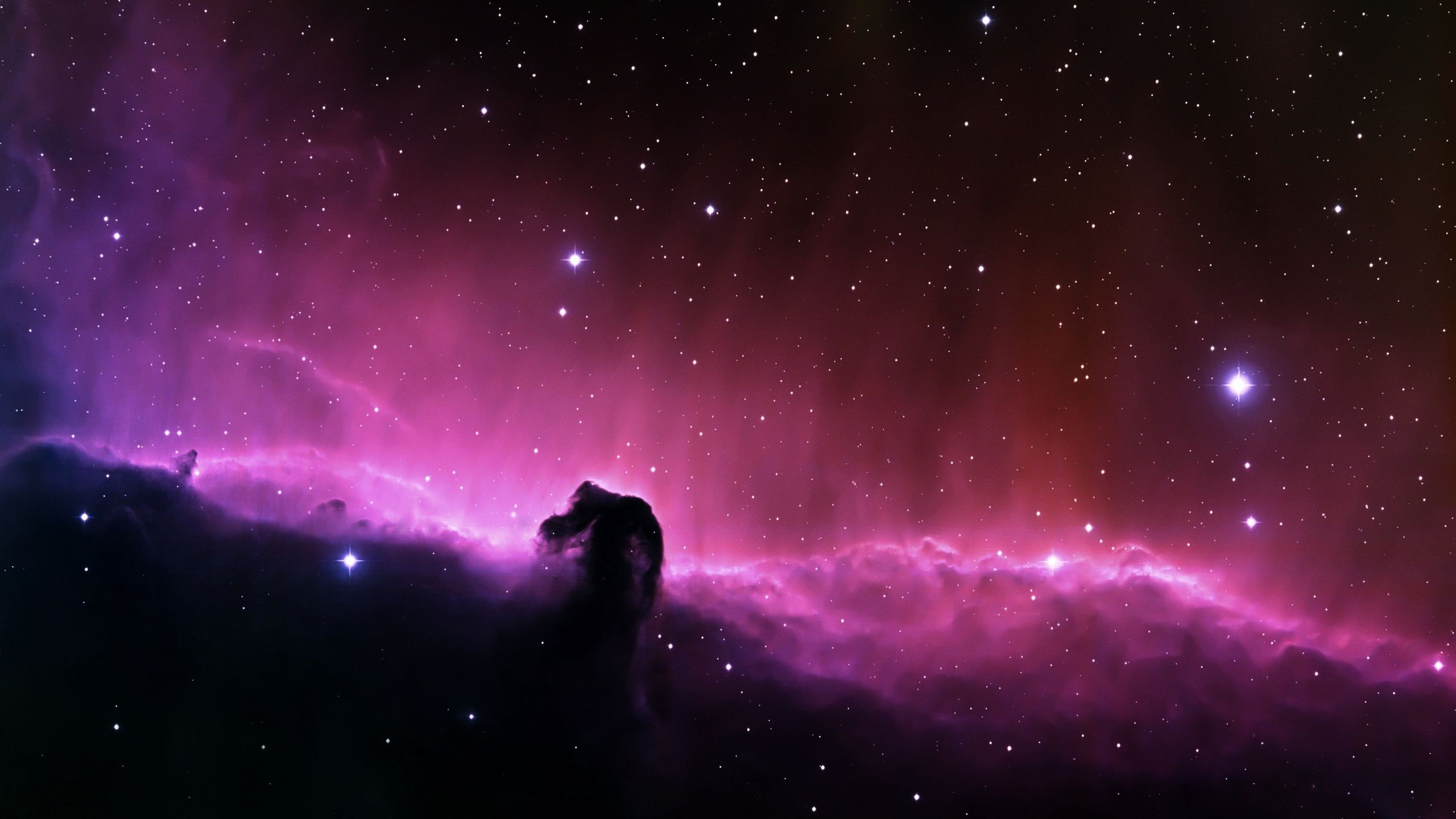 Nebulosa Testa di Cavallo viola, 2560x1440 1440p, Desktop