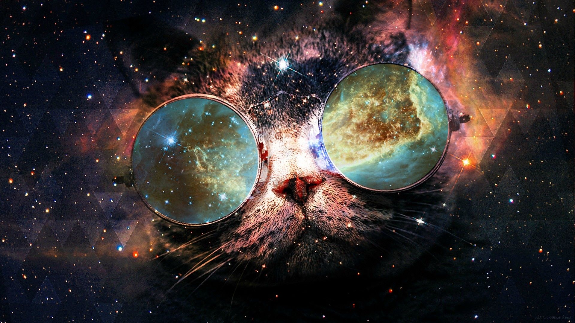 Gatto psichedelico spaziale nebulosa, 1920x1080 Full HD, Laptop