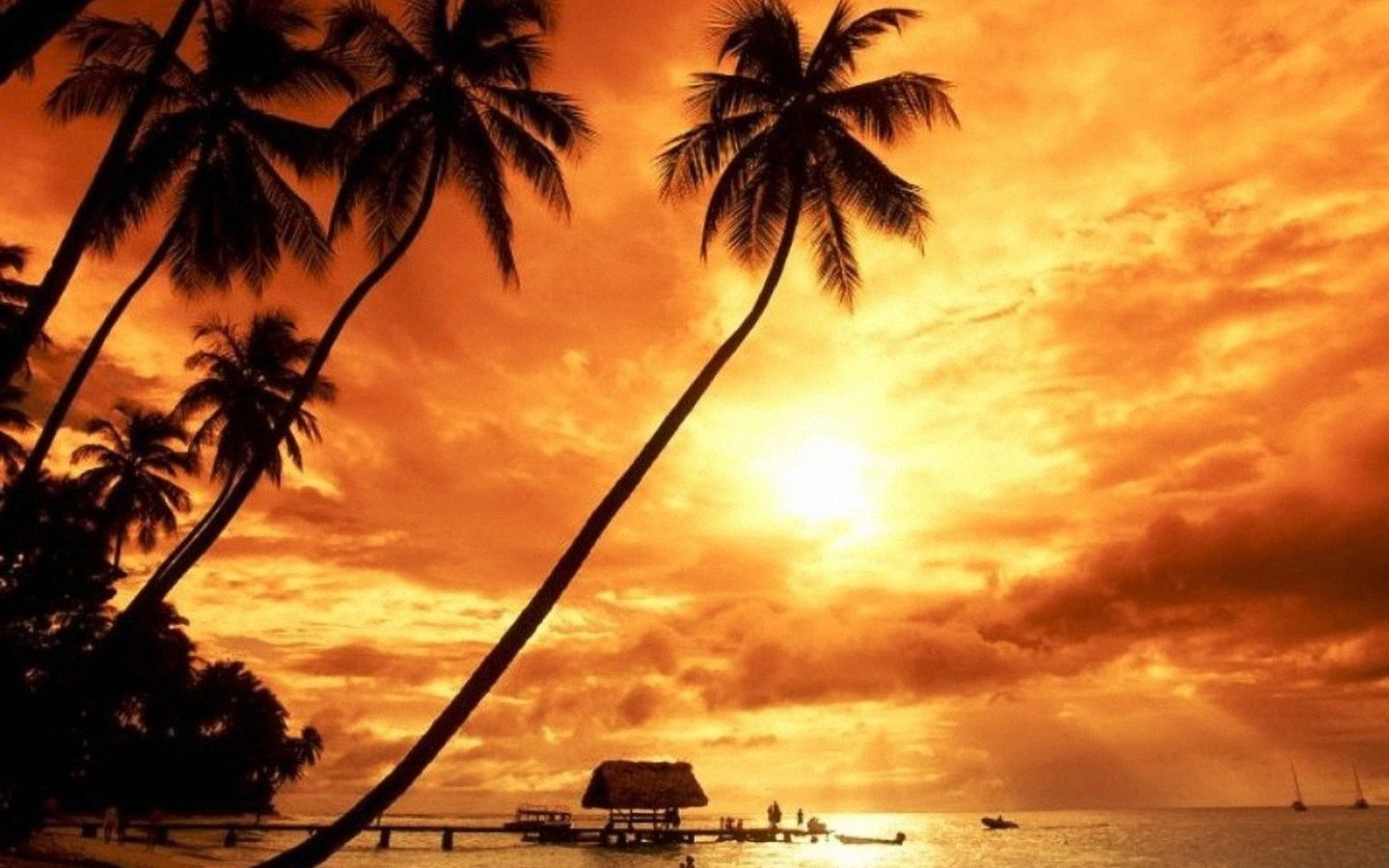 Tramonto spiaggia Bali palme, 1440x900 HD, Desktop