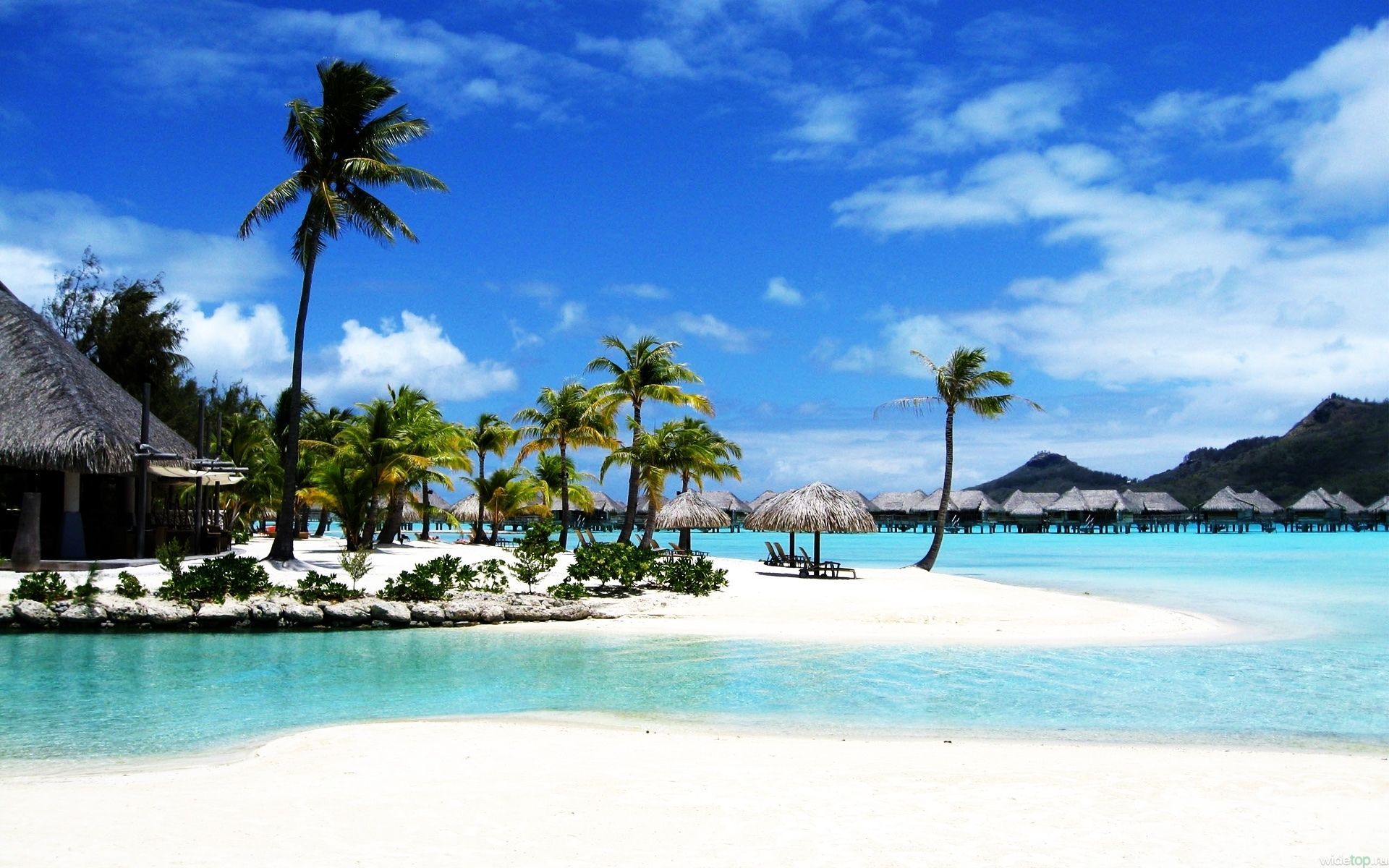 Spiaggia tropicale con palme e bungalow, 1920x1200 Full HD+ WUXGA, Laptop