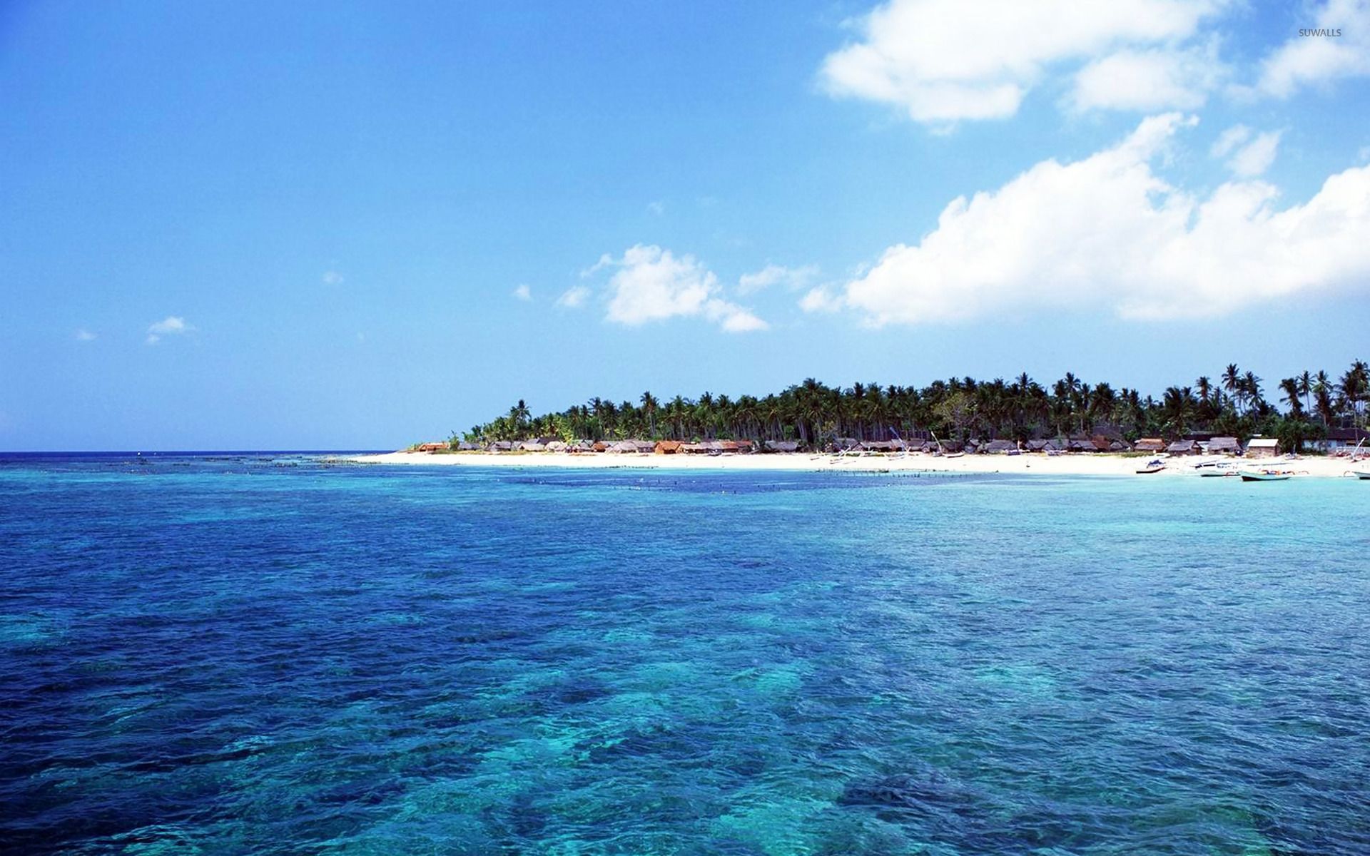 Spiaggia tropicale con palme, 1920x1200 Full HD+, Desktop