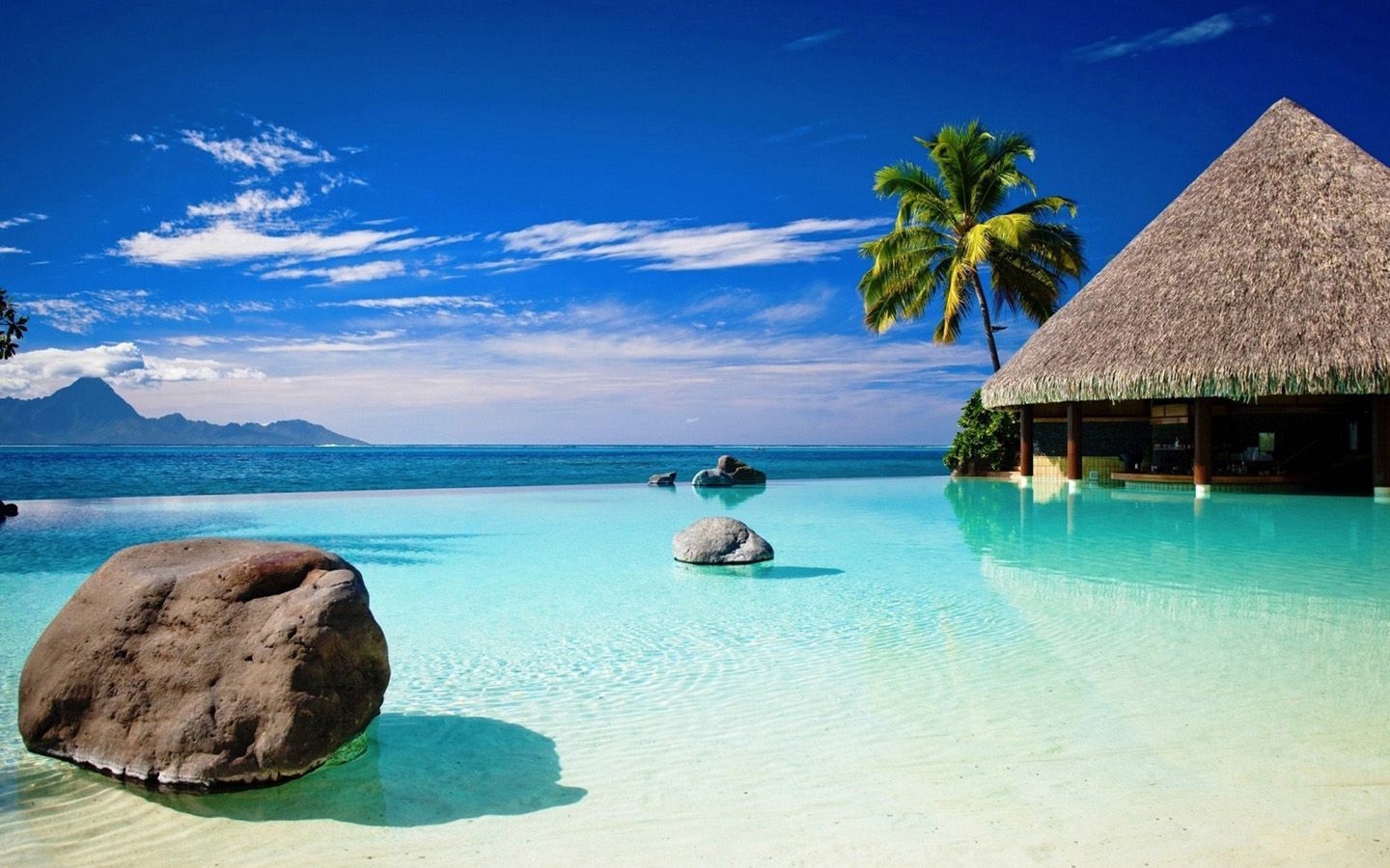 Piscina infinity vista oceano tropicale, 1440x900 HD, Desktop