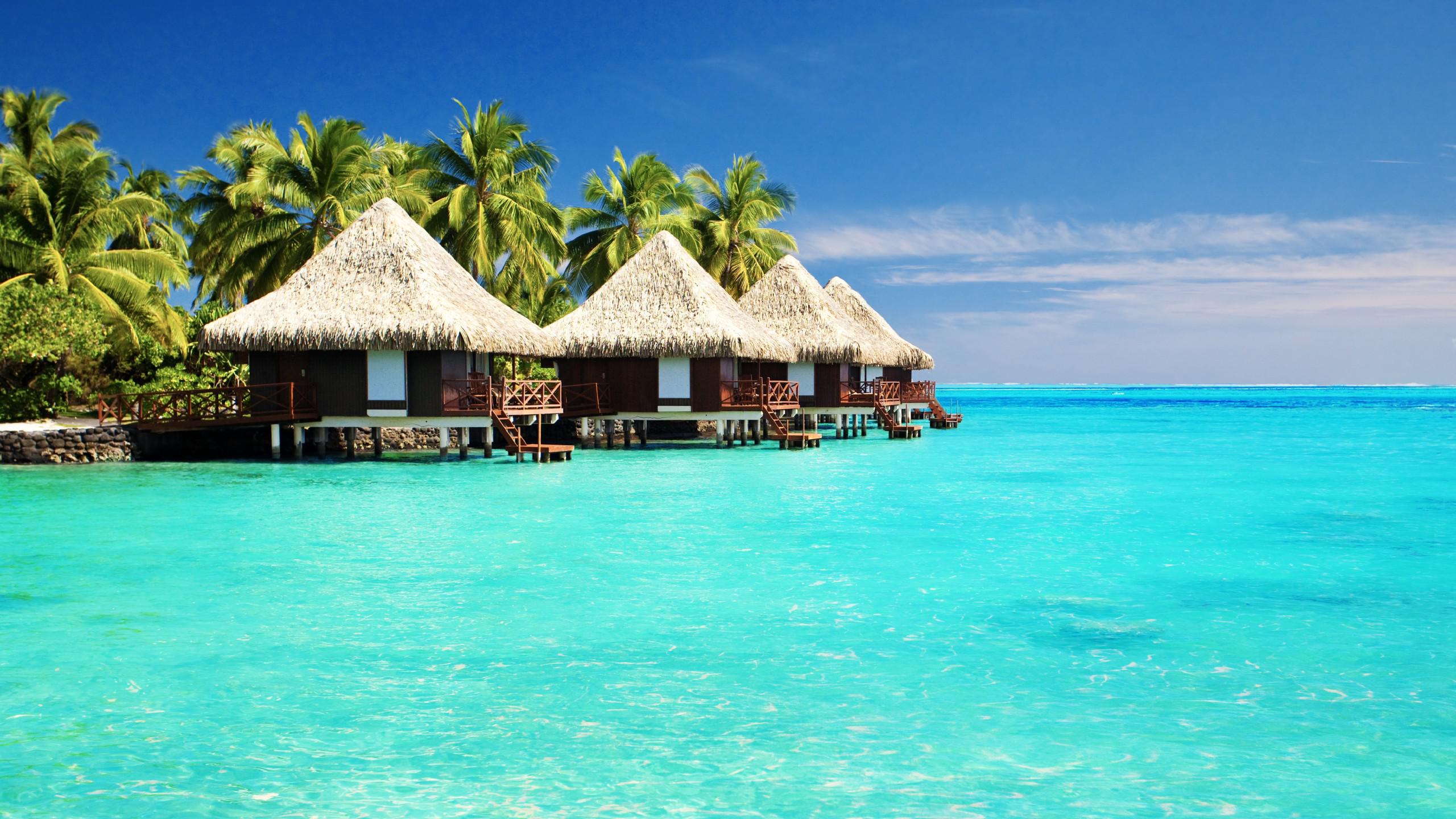 Bungalow su palafitte tropicale, 2560x1440 2K QHD, PC