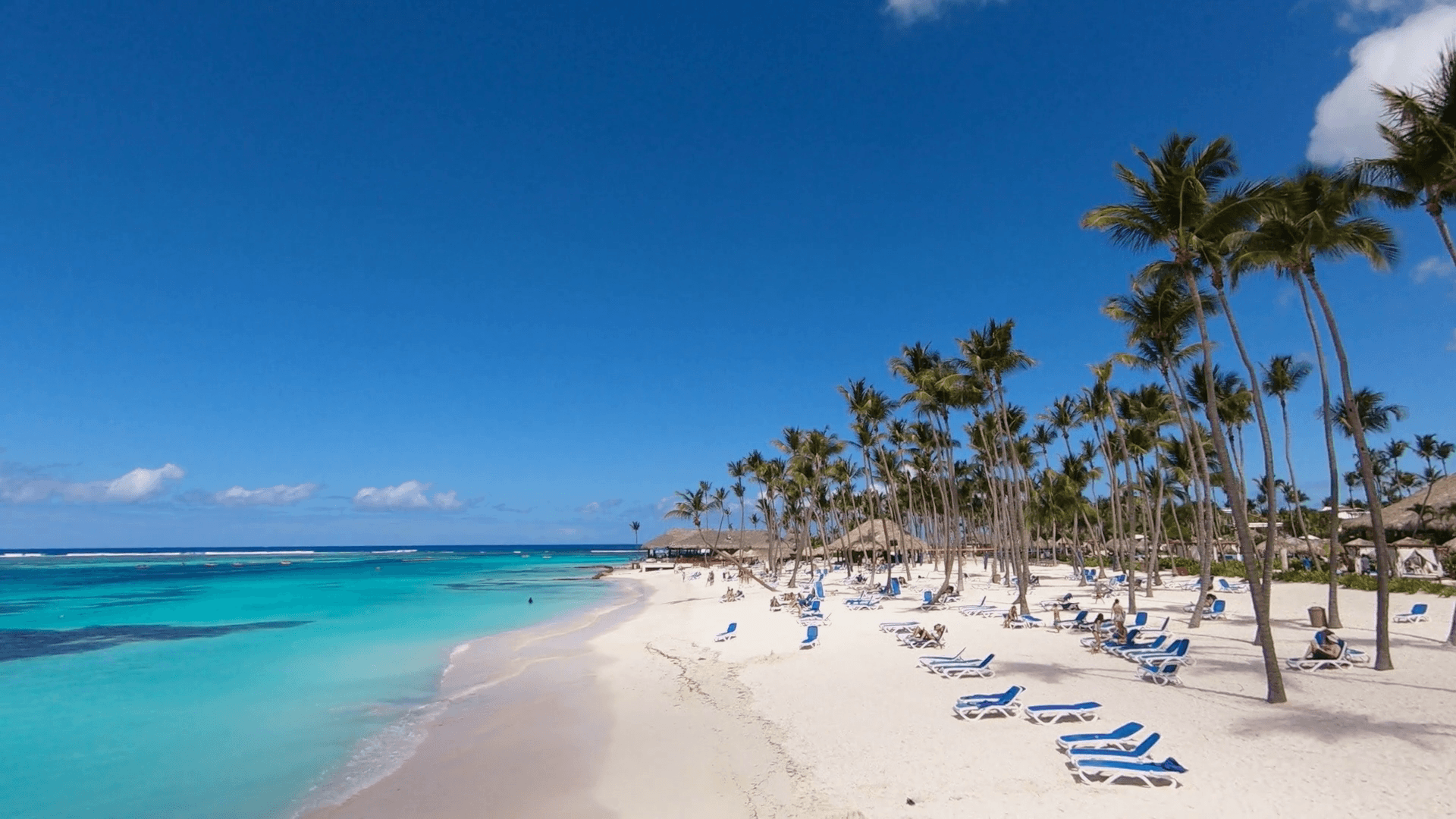 Spiaggia tropicale palme sabbia bianca, 1920x1080 Full HD 1080p, PC Desktop