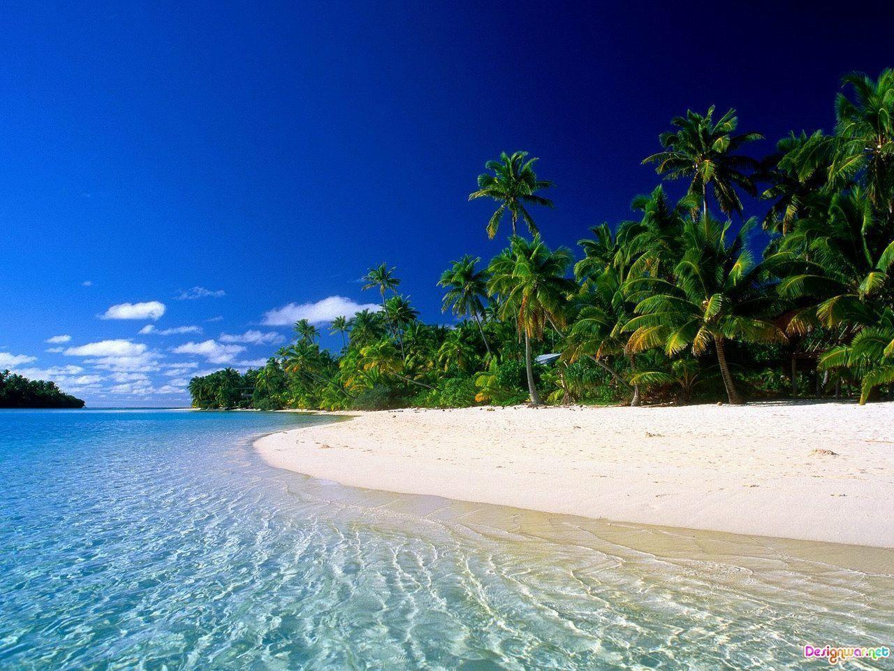 Spiaggia tropicale con palme, 1280x960 720p, Laptop