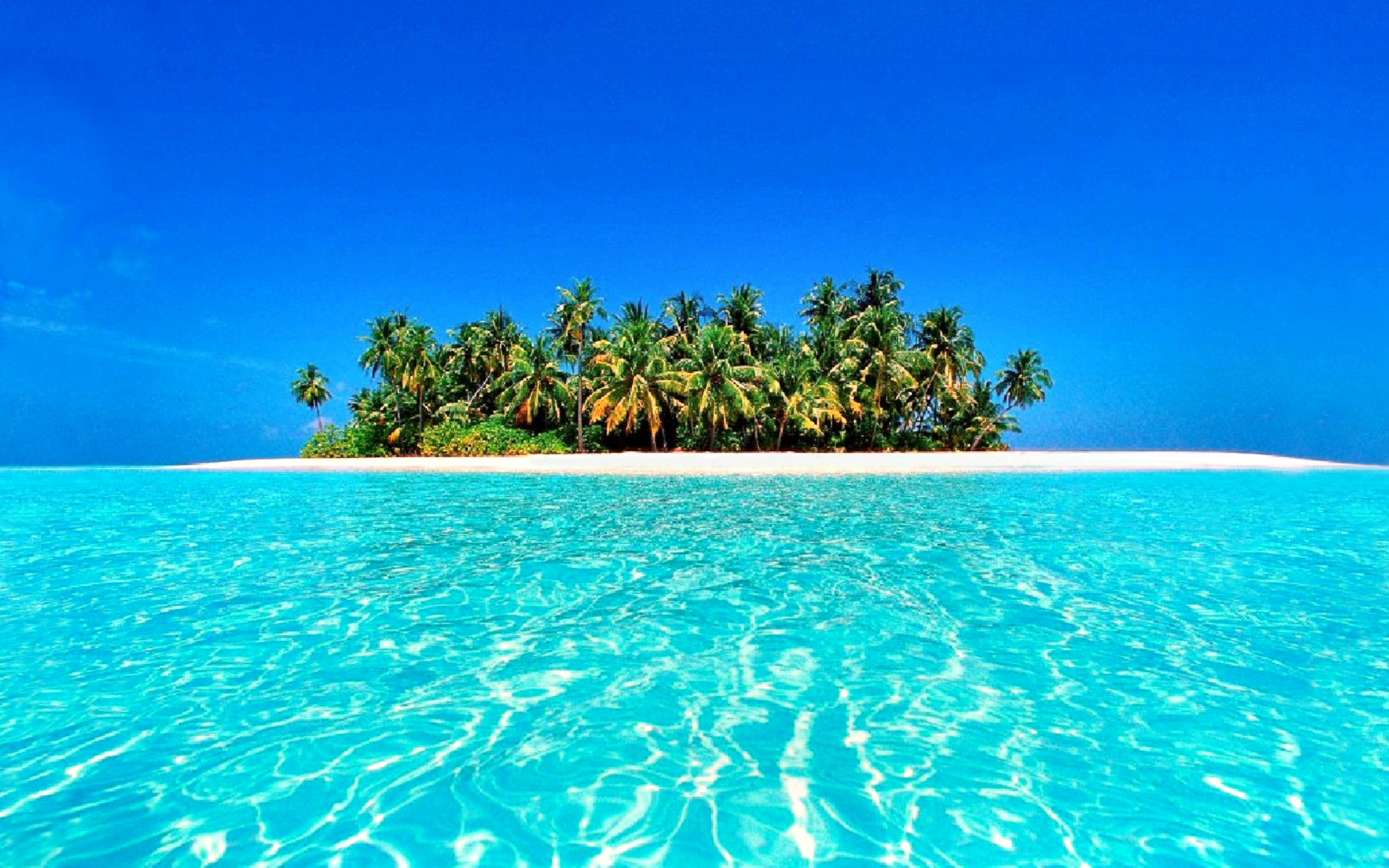 Isola tropicale con palme, 3325x2077 2K, Monitor Gaming