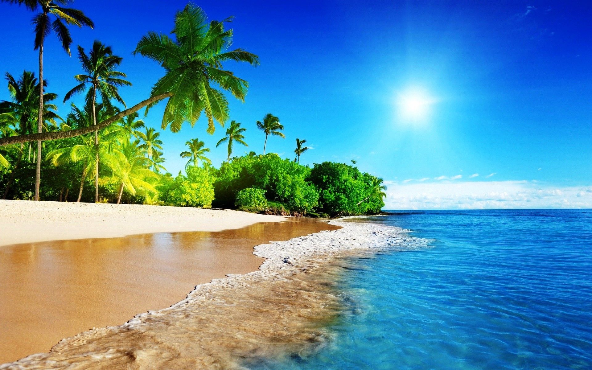 Spiaggia tropicale con palme, 1920x1200 WUXGA, Desktop