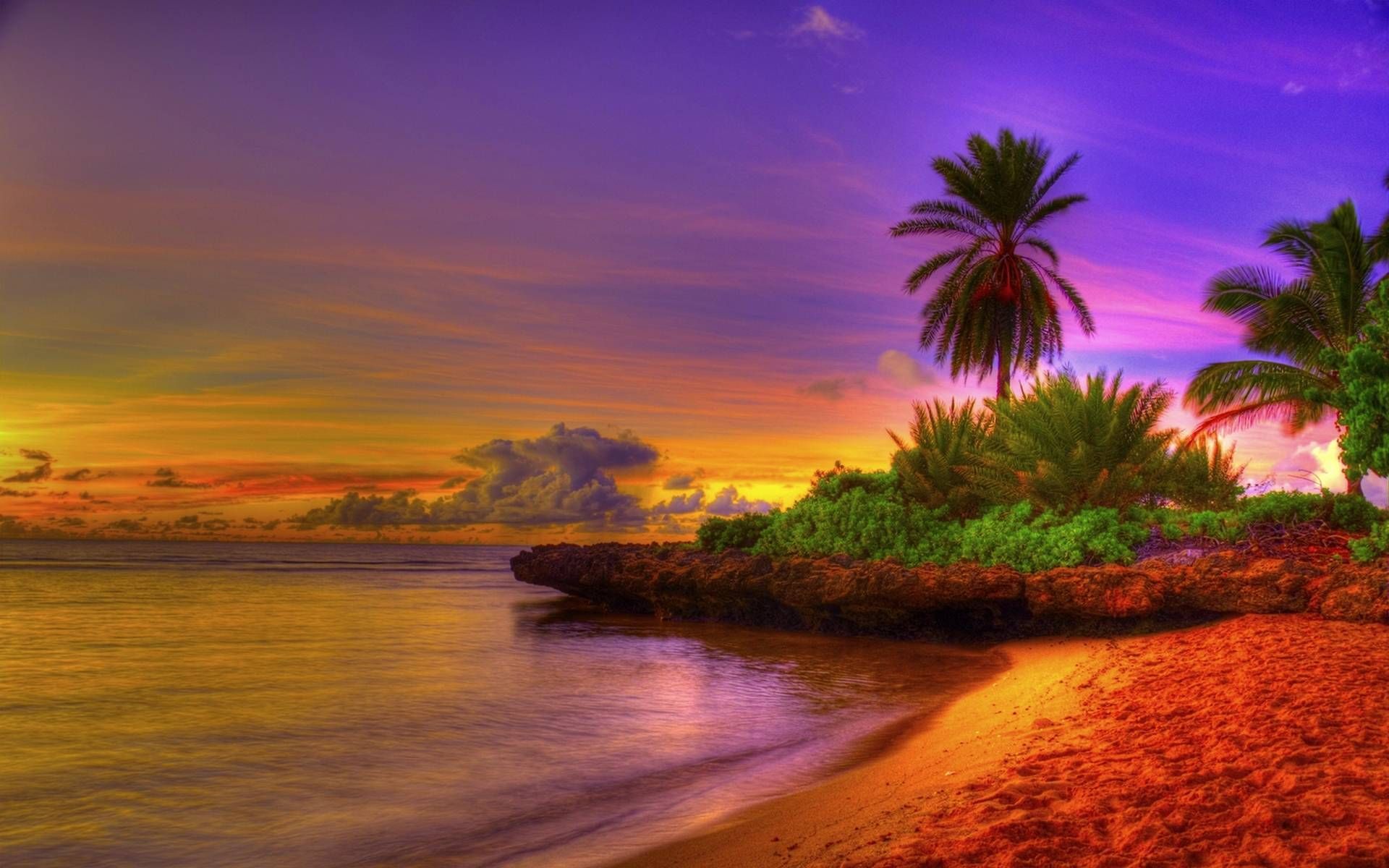 Spiaggia tropicale con palme, 2048x1004 2K, Desktop