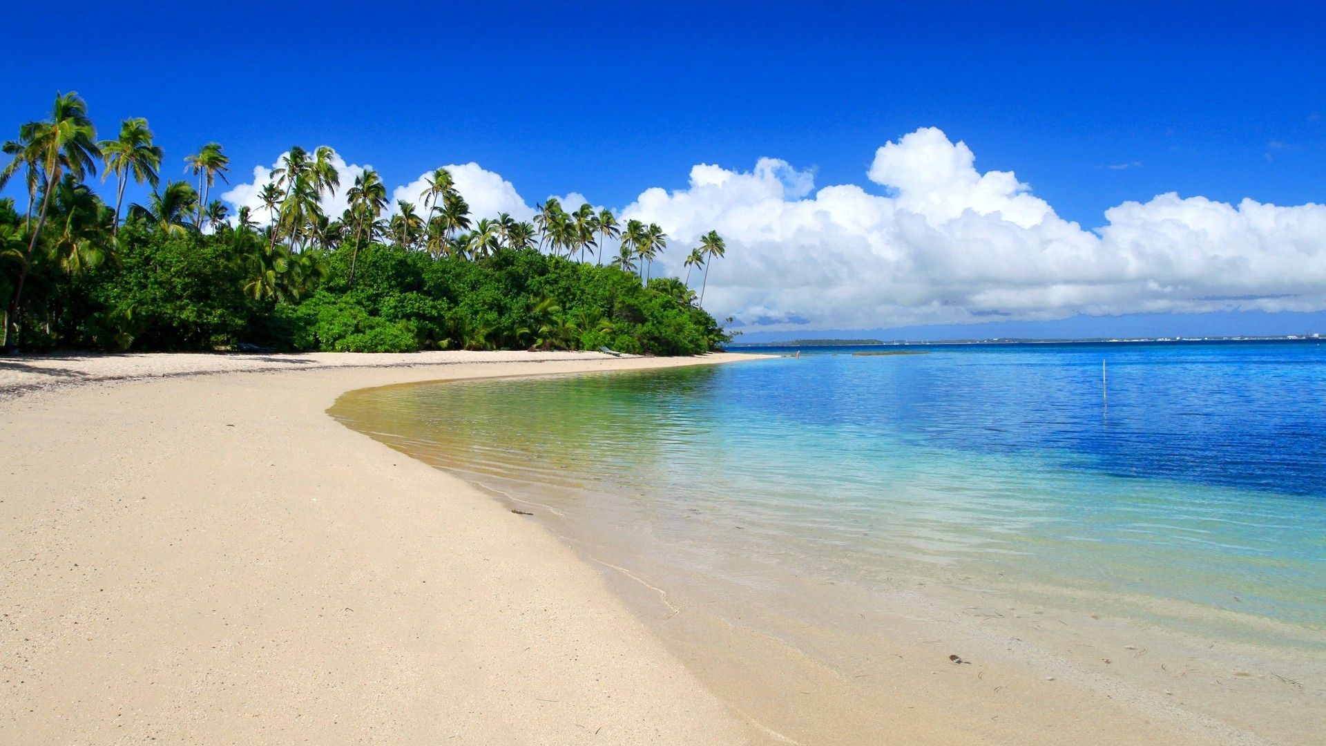 Spiaggia tropicale con palme, 1920x1080 1080p, PC Desktop